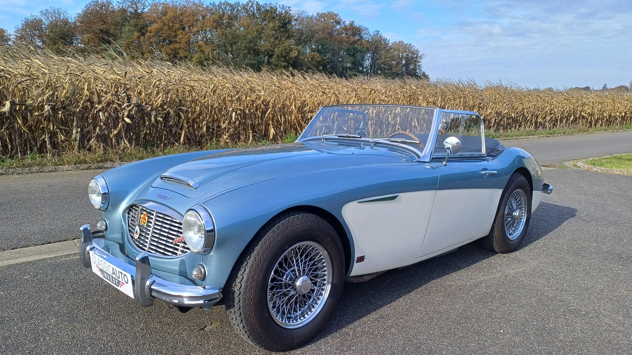 Austin Healey 3000 Mk1, 1959