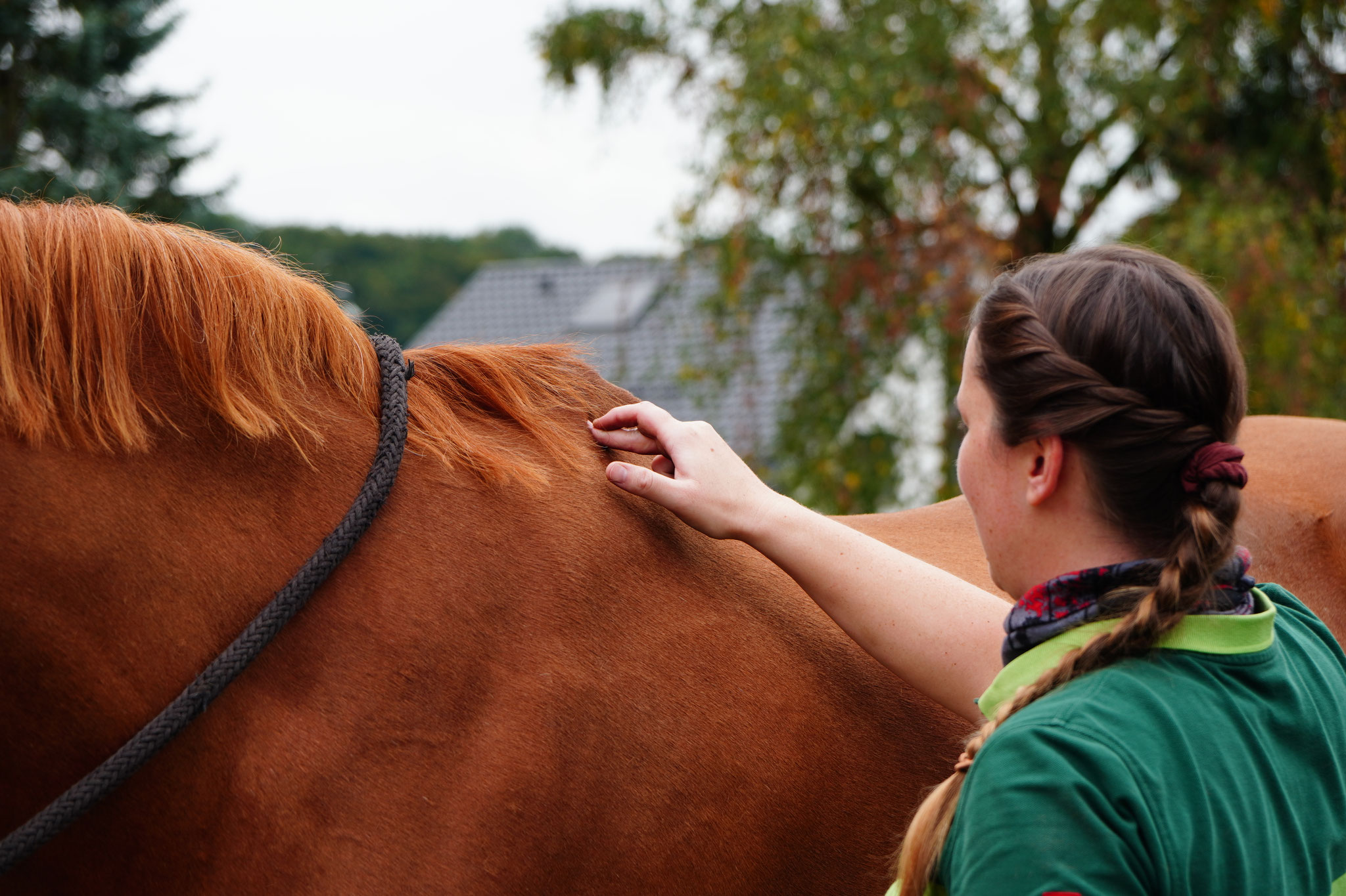 Stresspunktmassage nach J. Meagher