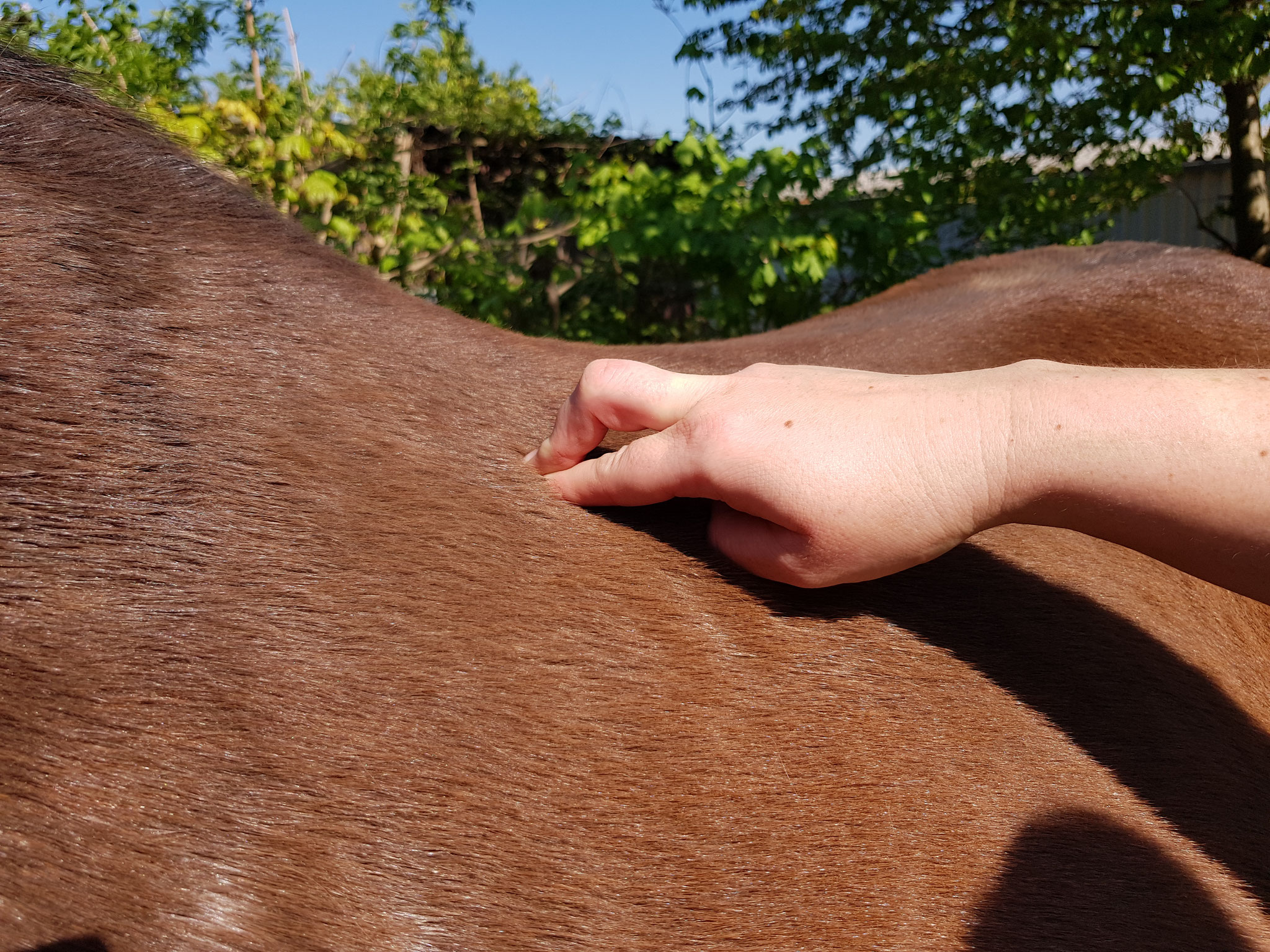 Stresspunktmassage nach J. Meagher