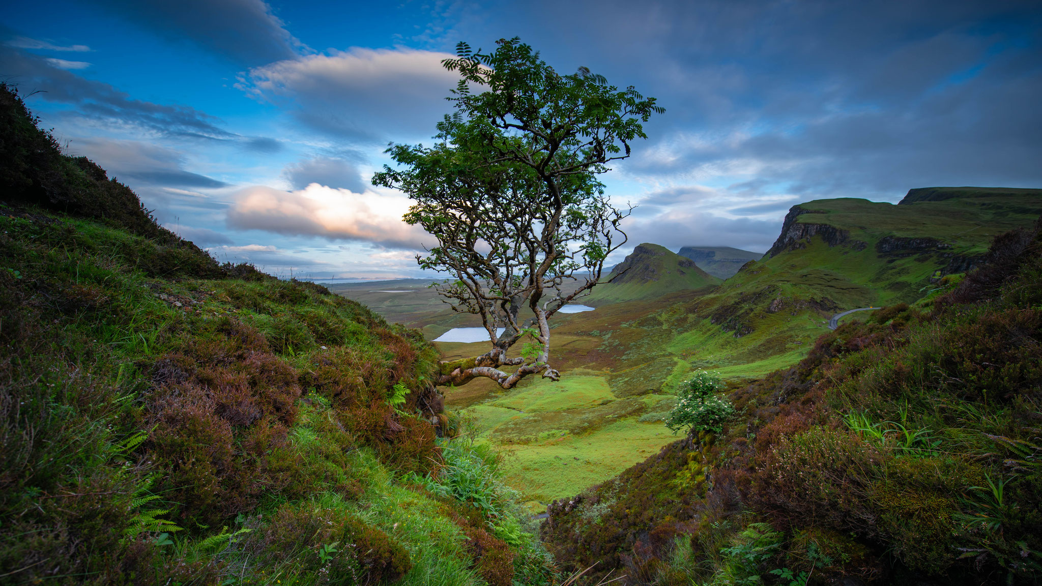 Scotland