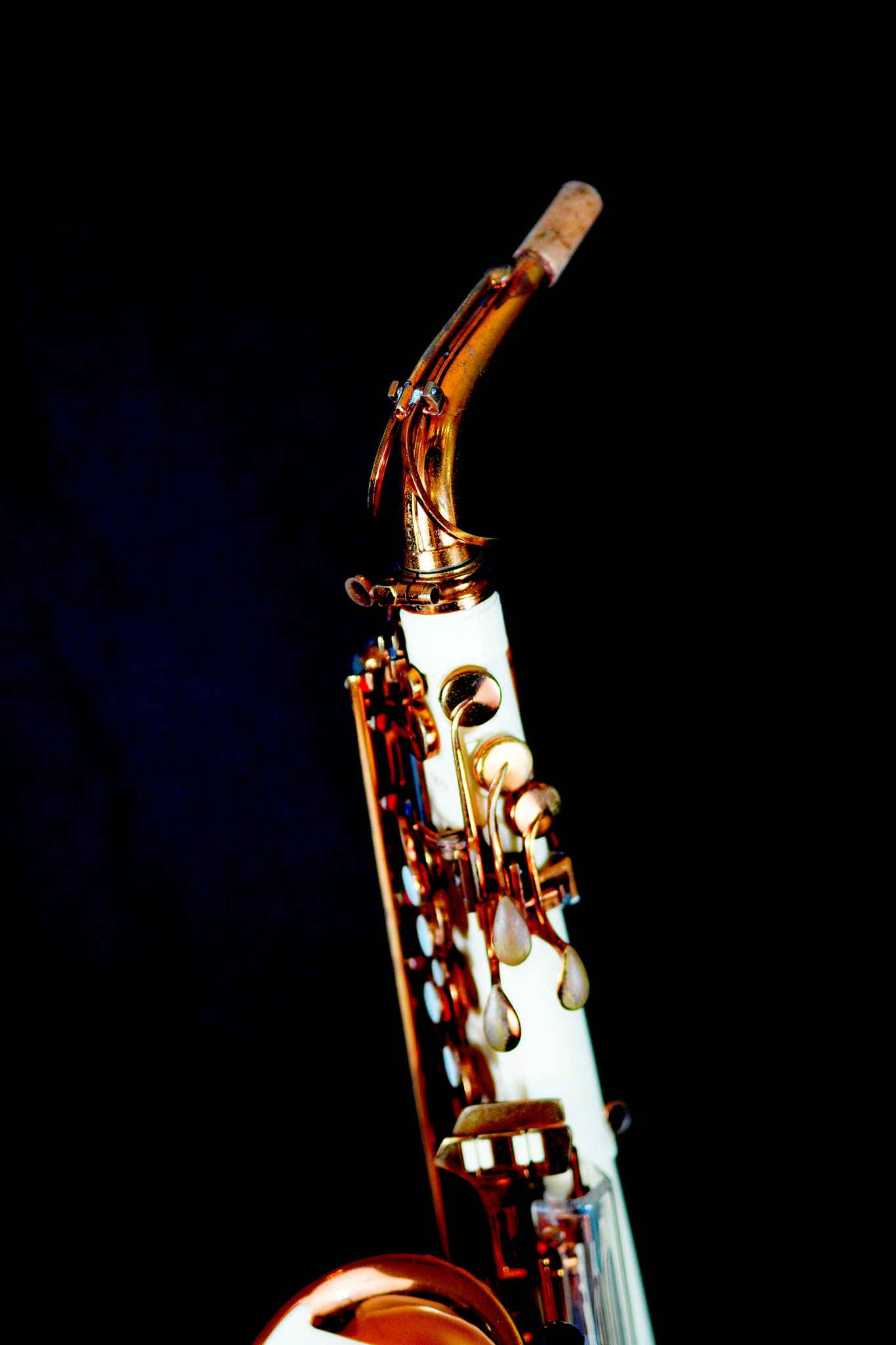 Grafton-Grafton Sax(グラフトン サックス) - Vintage Grafton-Grafton Sax(グラフトン サックス) - Vintage