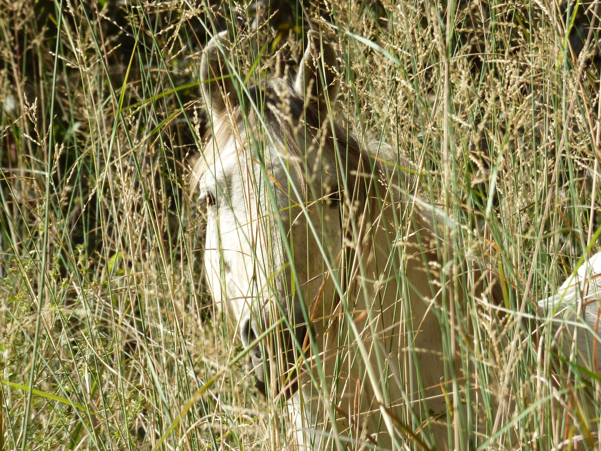 I can see you