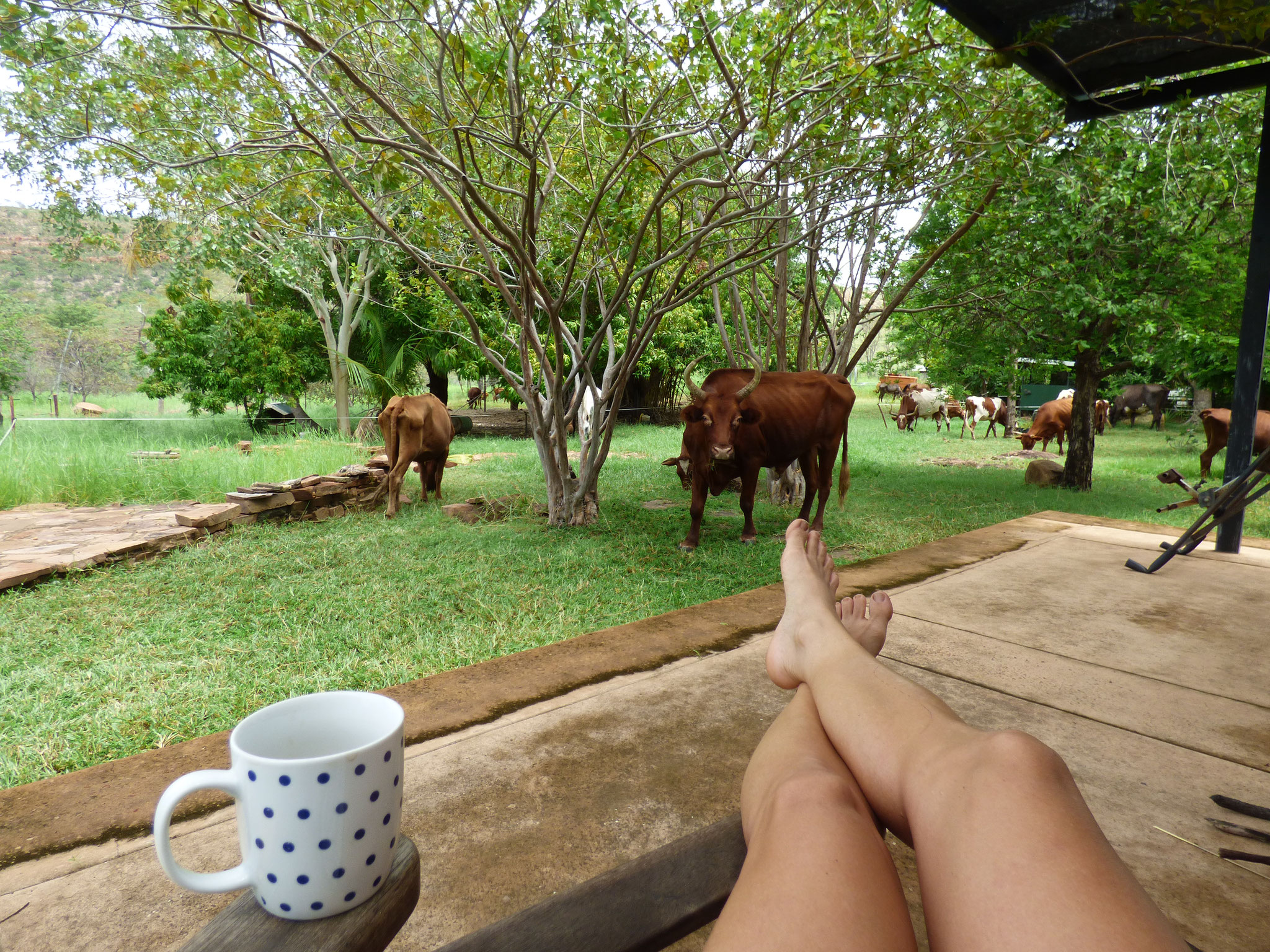 Supervising the mowing