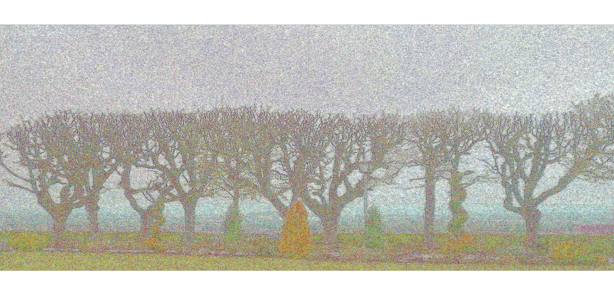 Nebel