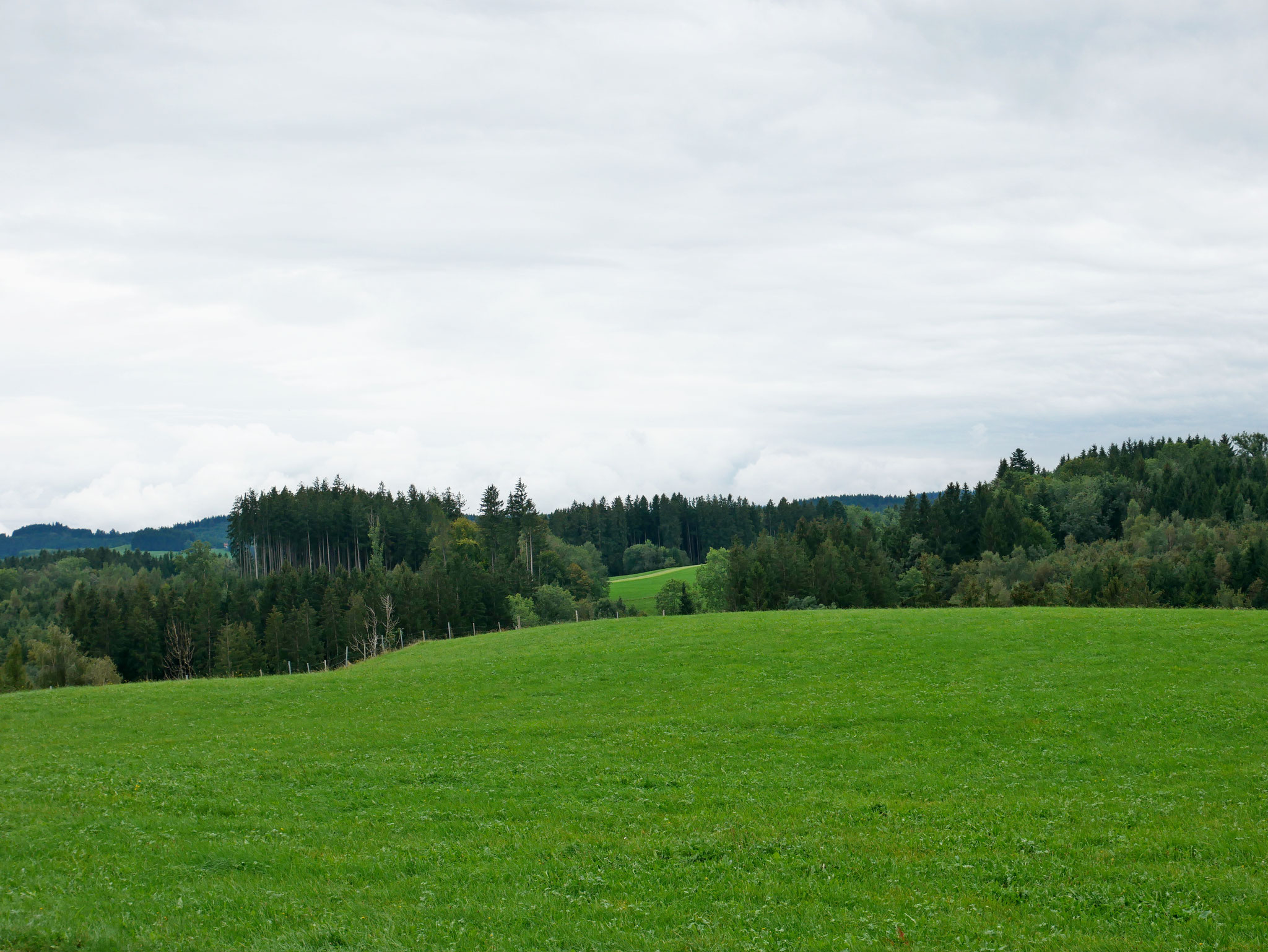 Blick nach Süden
