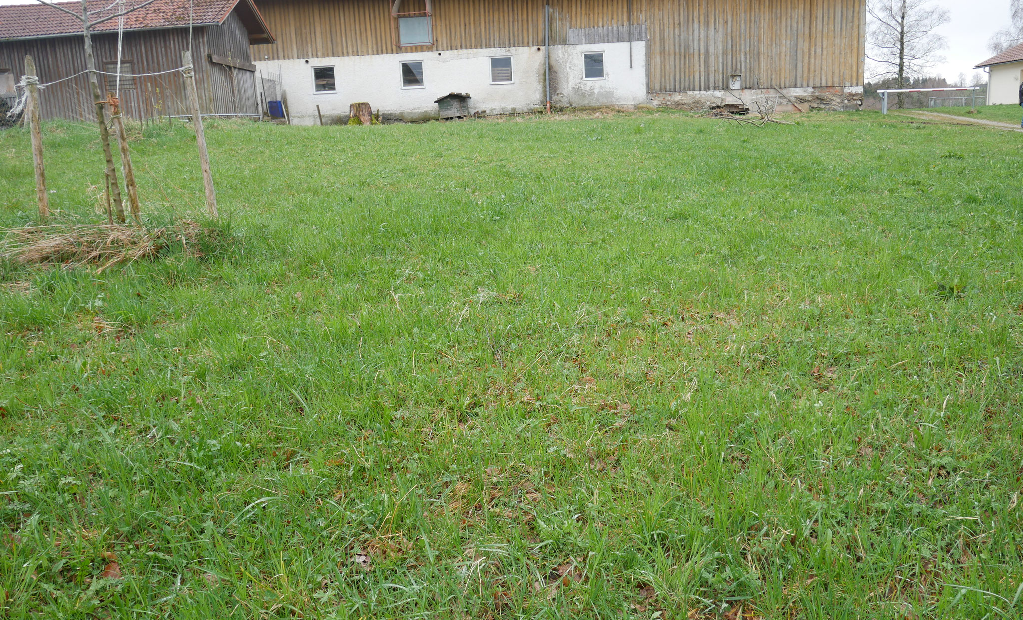 Blick von Norden