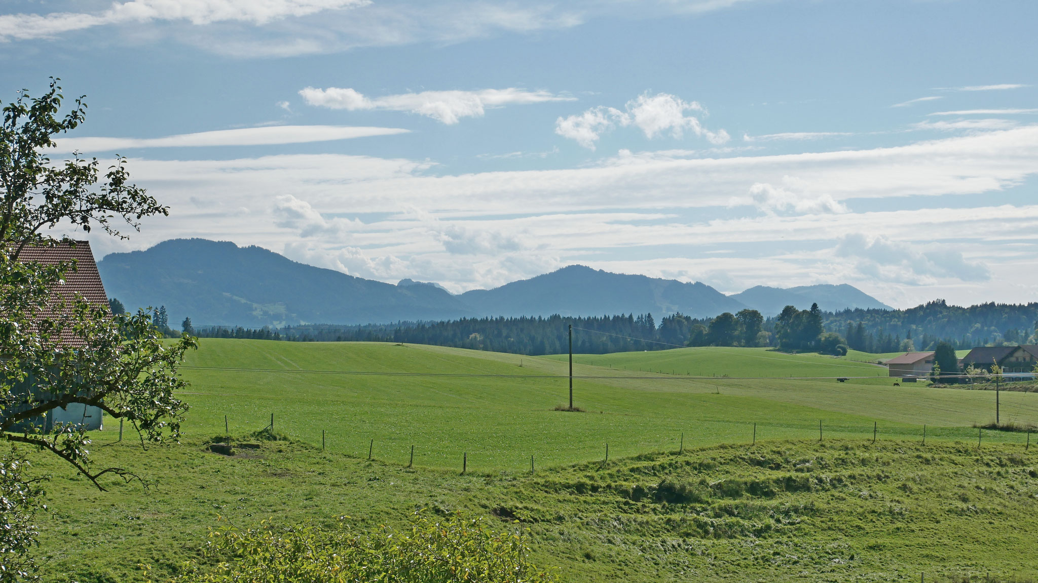 Blick n. Süden 2