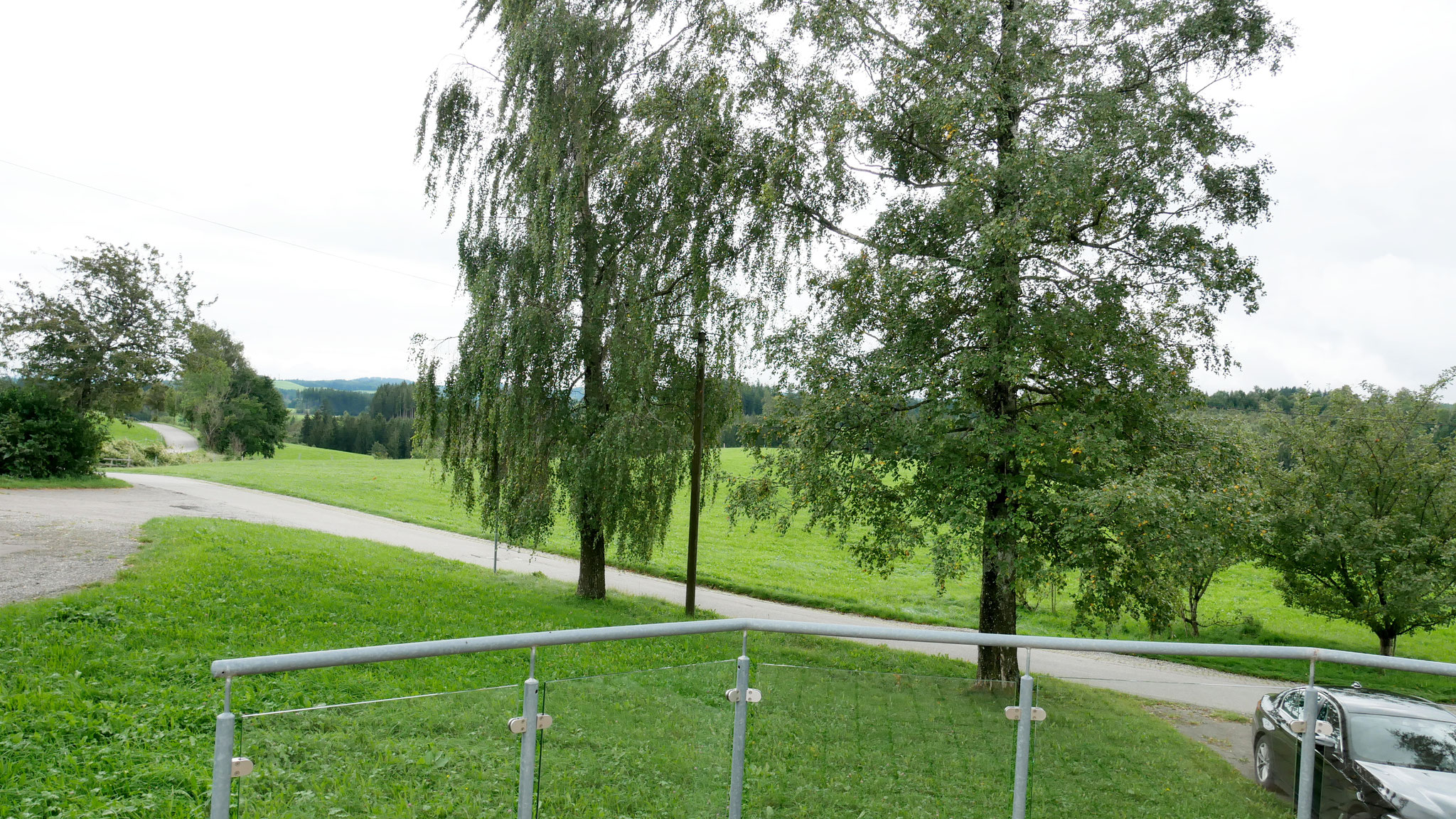 Blick