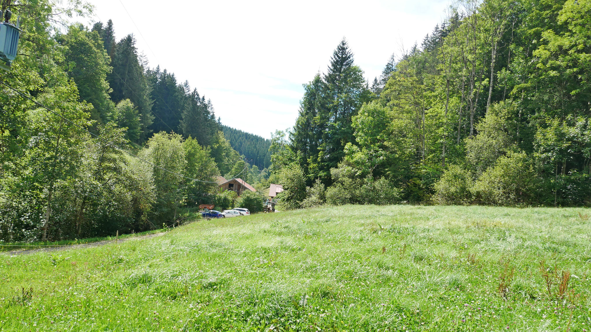 Blick 2