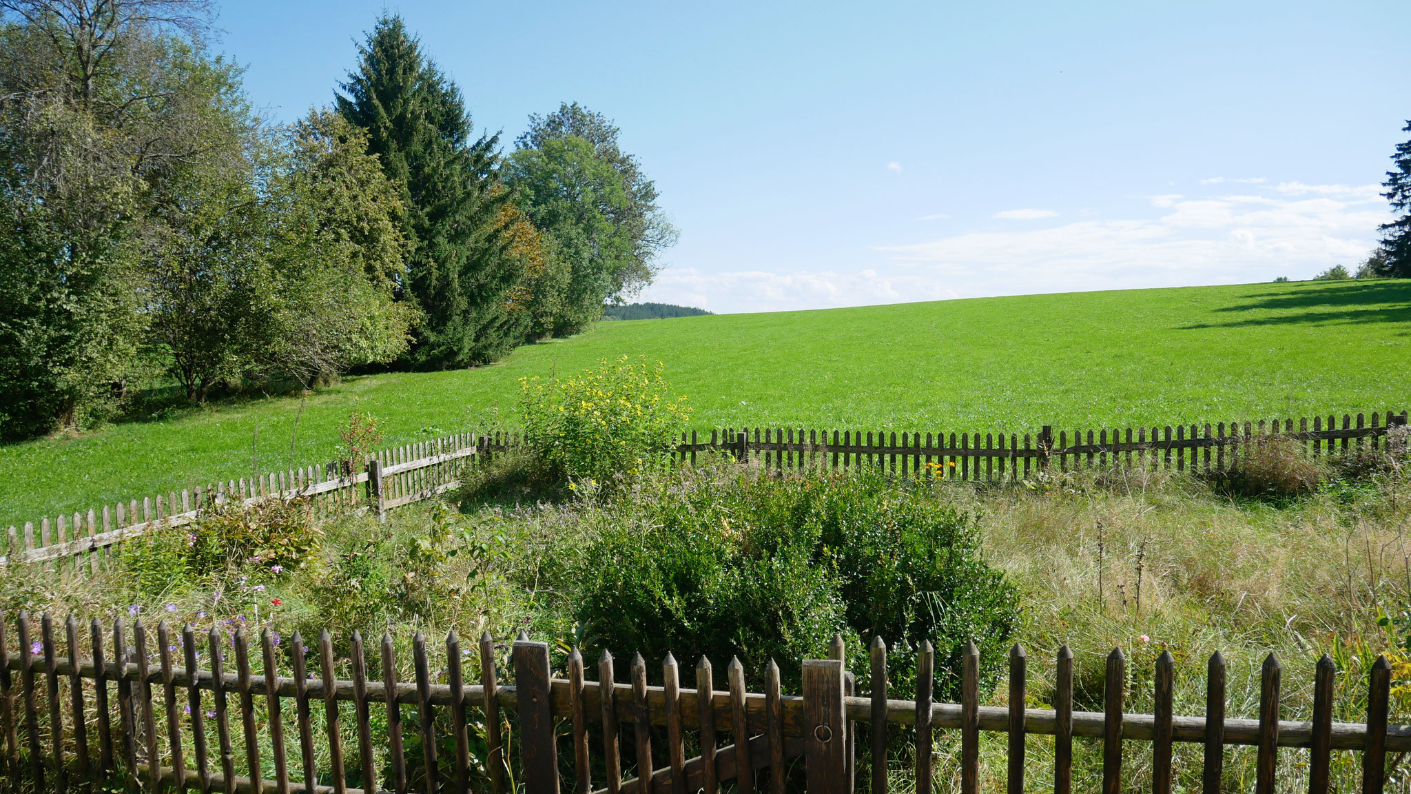 Hausgarten u. Blick n. Süden
