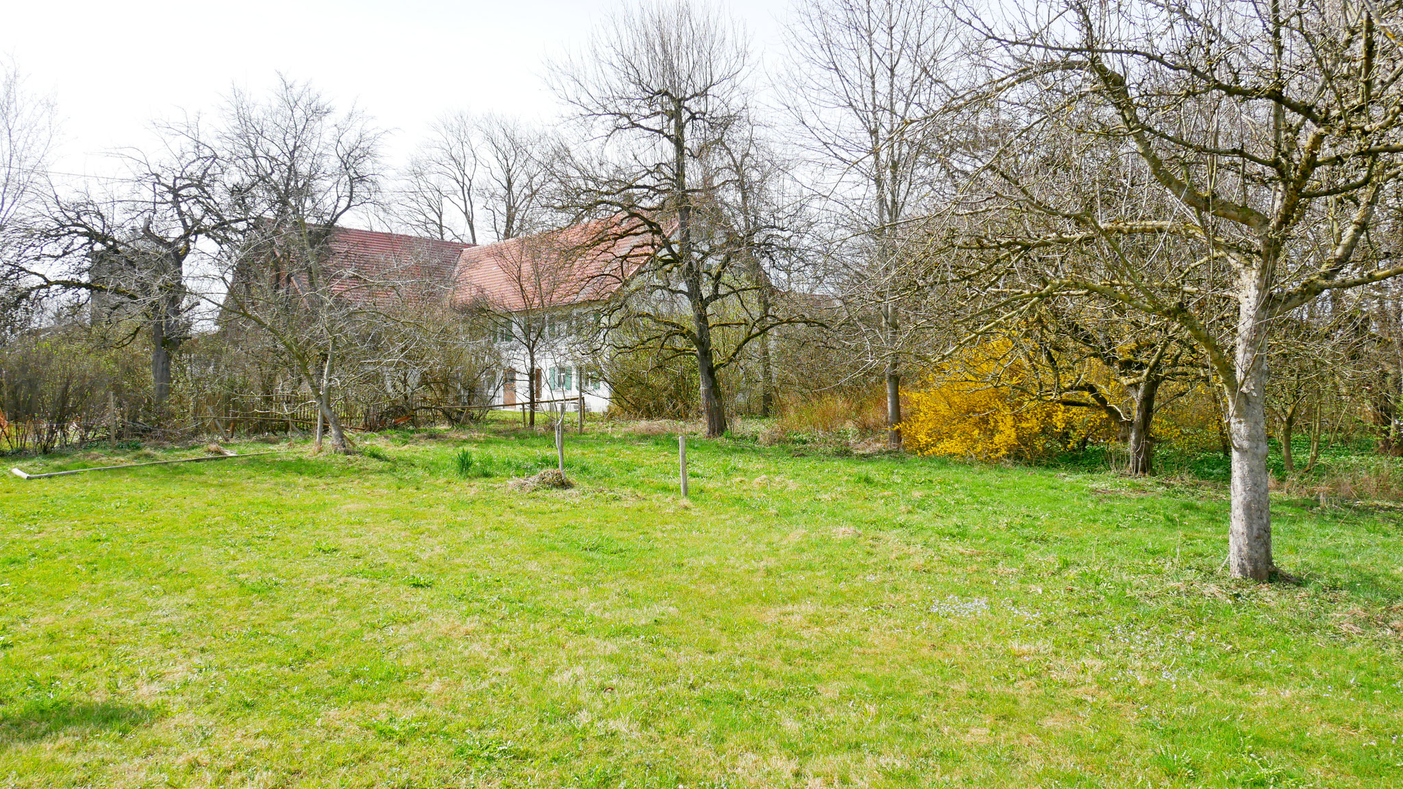 Blick vom Garten