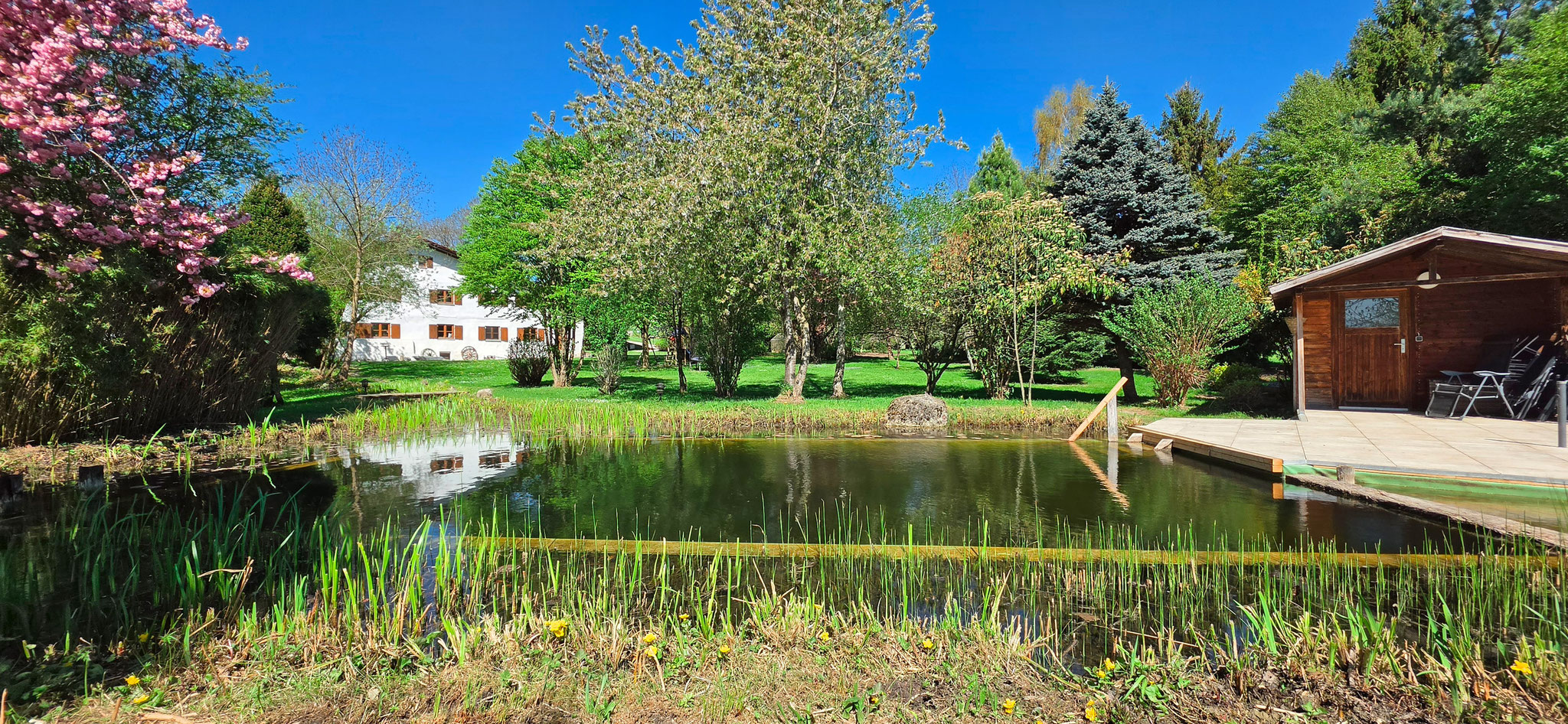 Schwimmteich