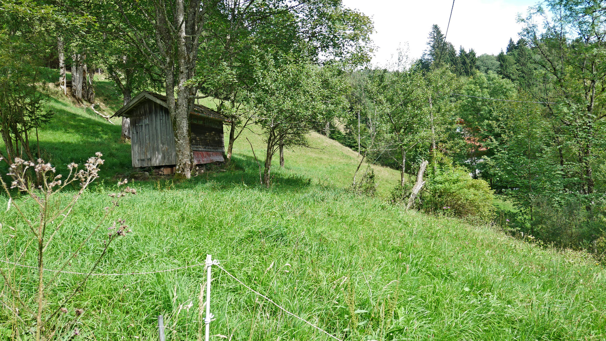 Blick 3