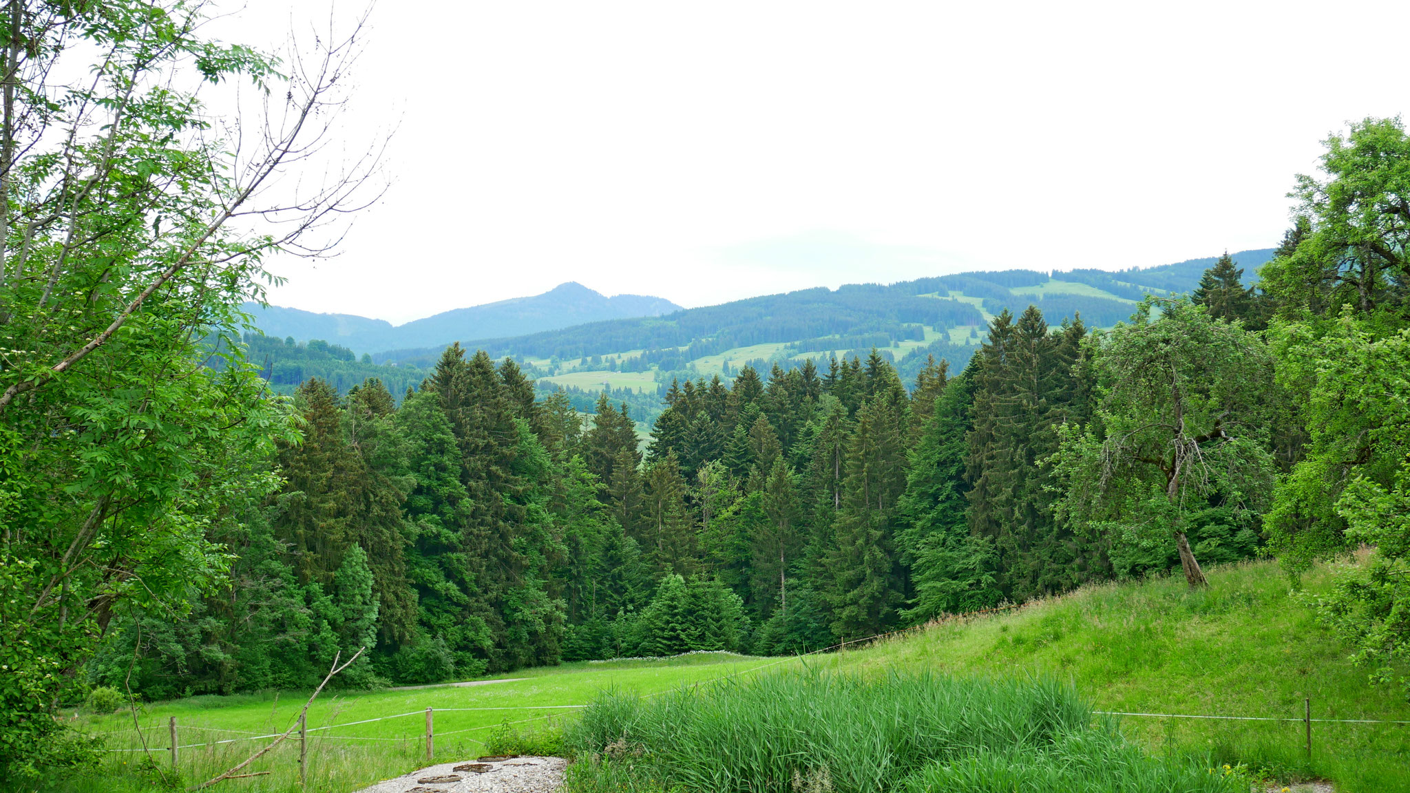 Blick
