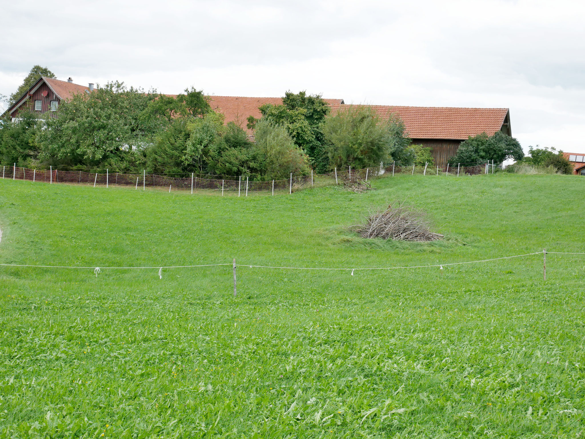 Blick auf Hofgebäude von der zukaufbaren Wiese 