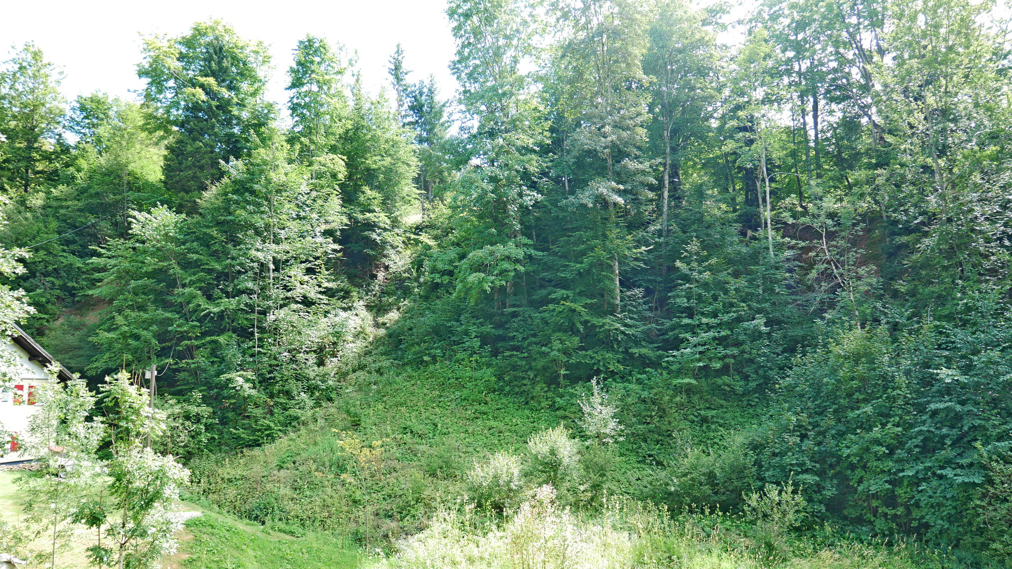 Blick 1