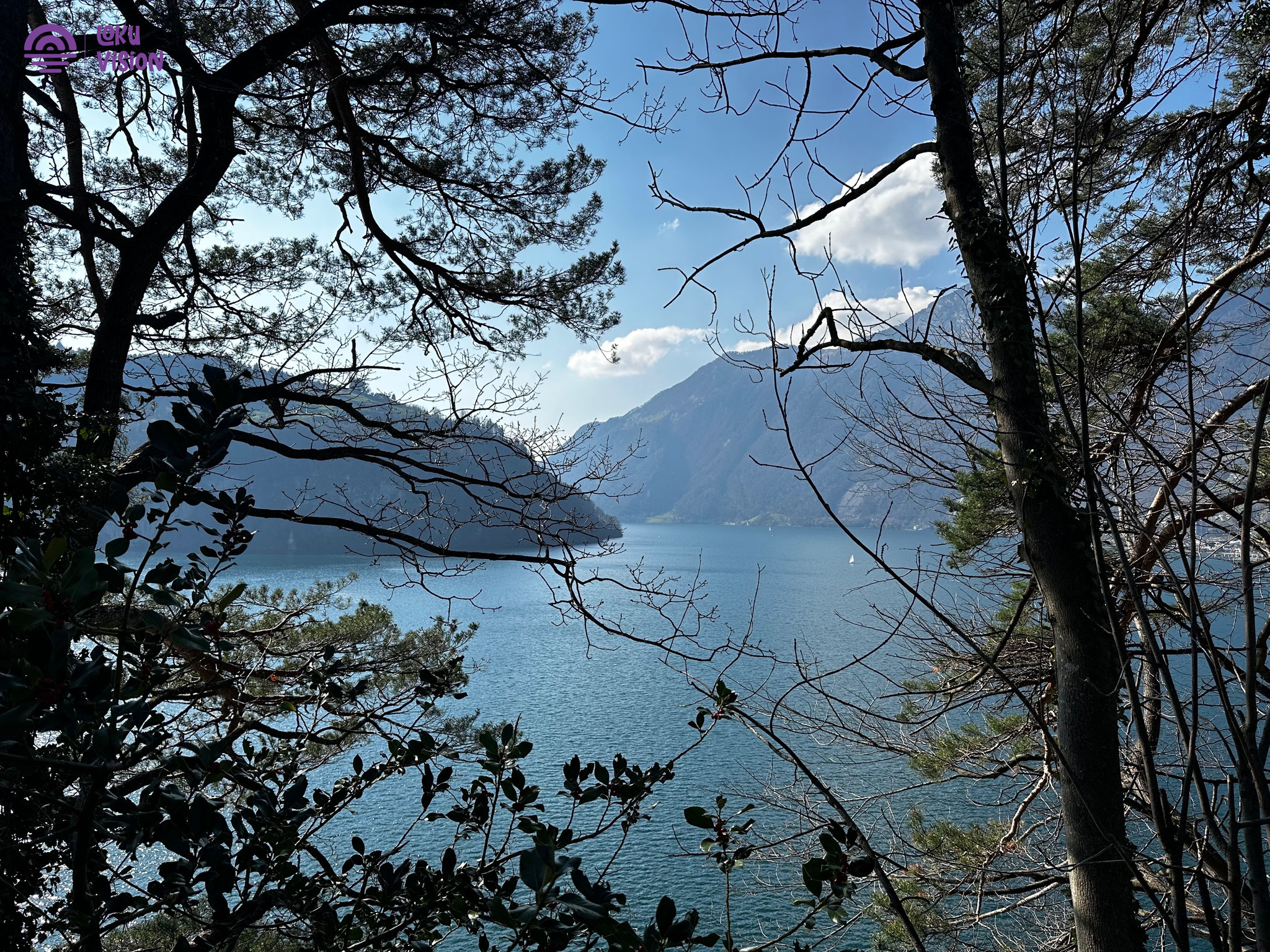 Secret view of lake Lucerne