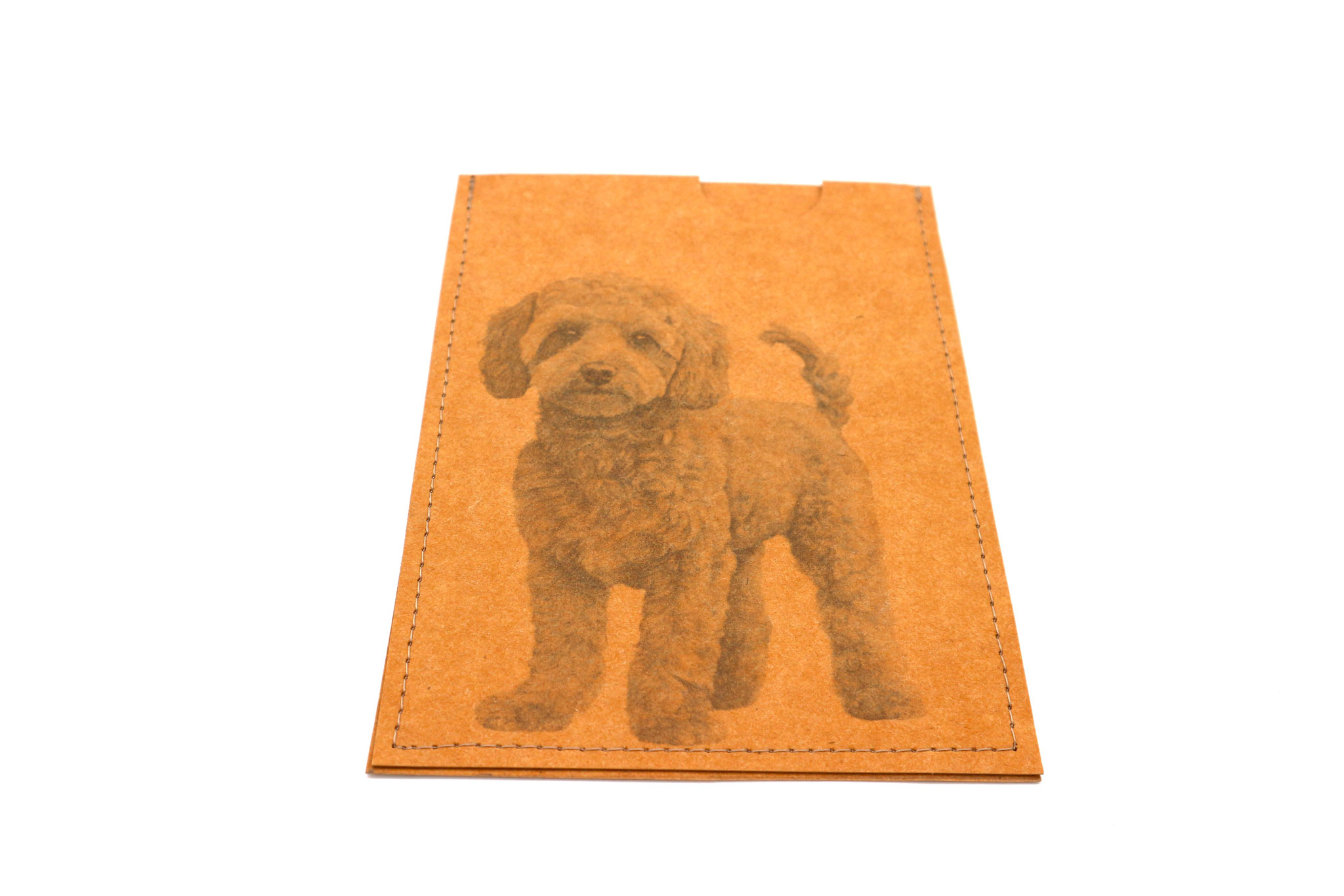 Cockapoo