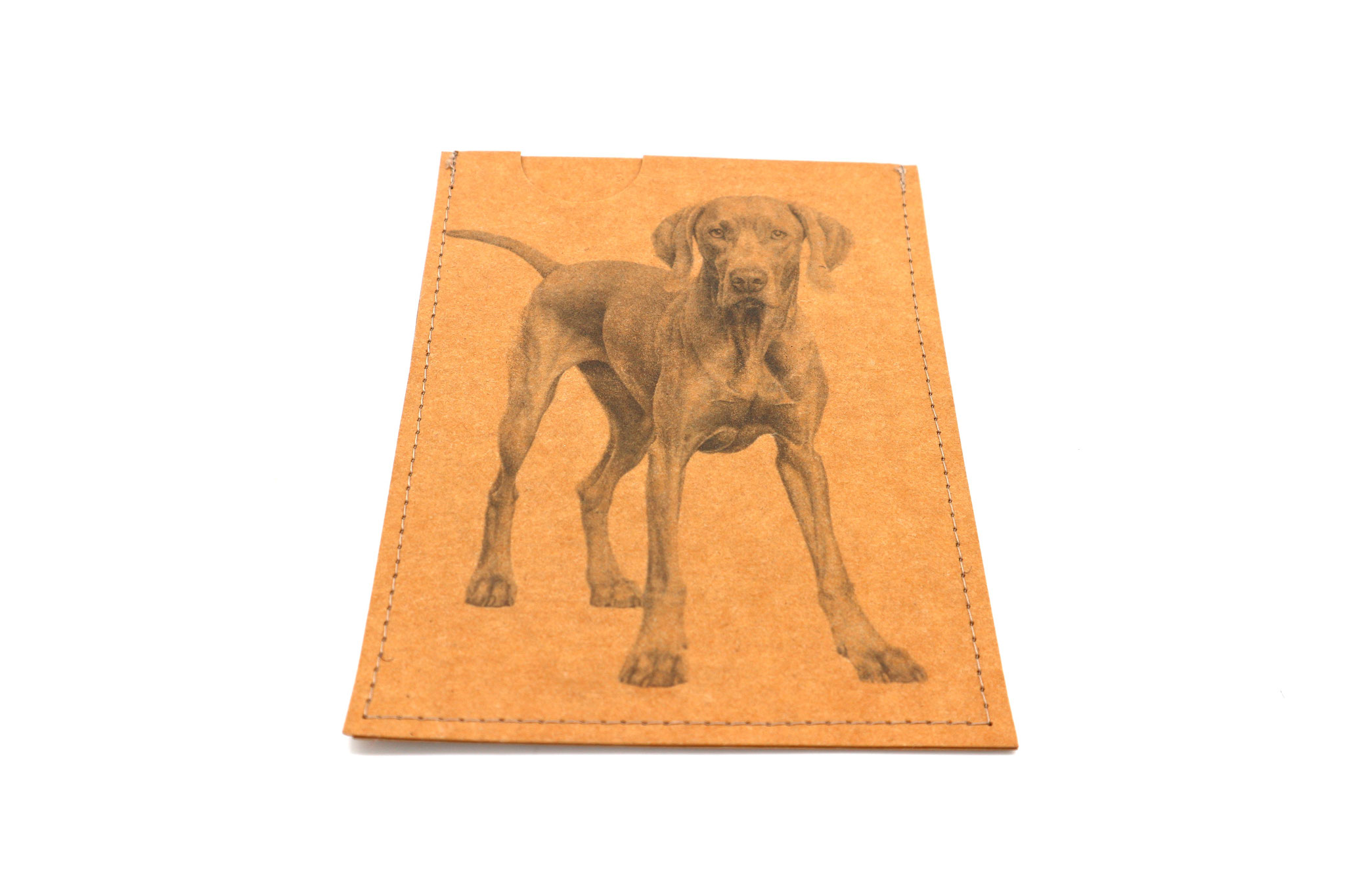 Weimaraner kurz