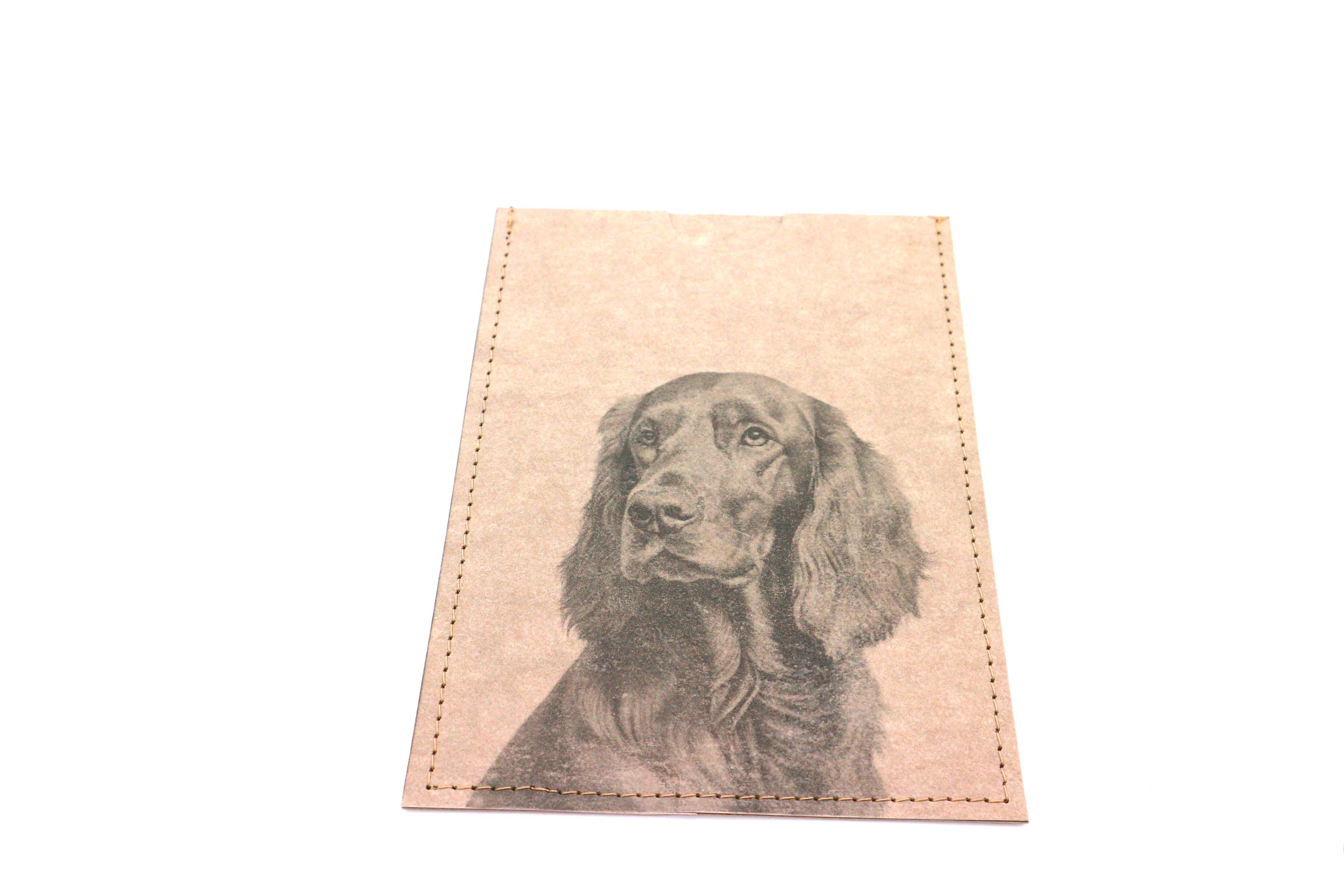 Irish Setter