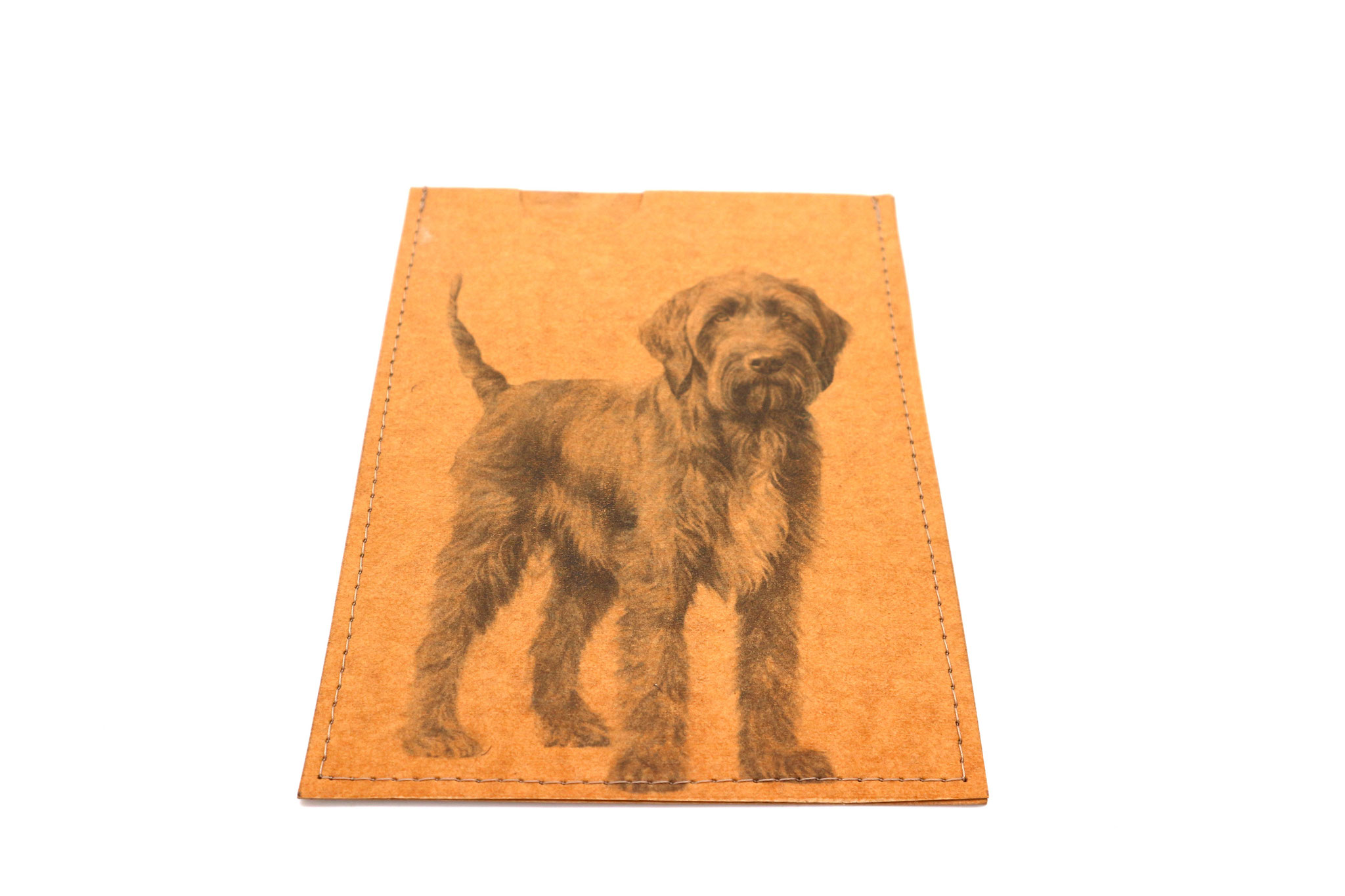 Drahthaar Pointer Griffon