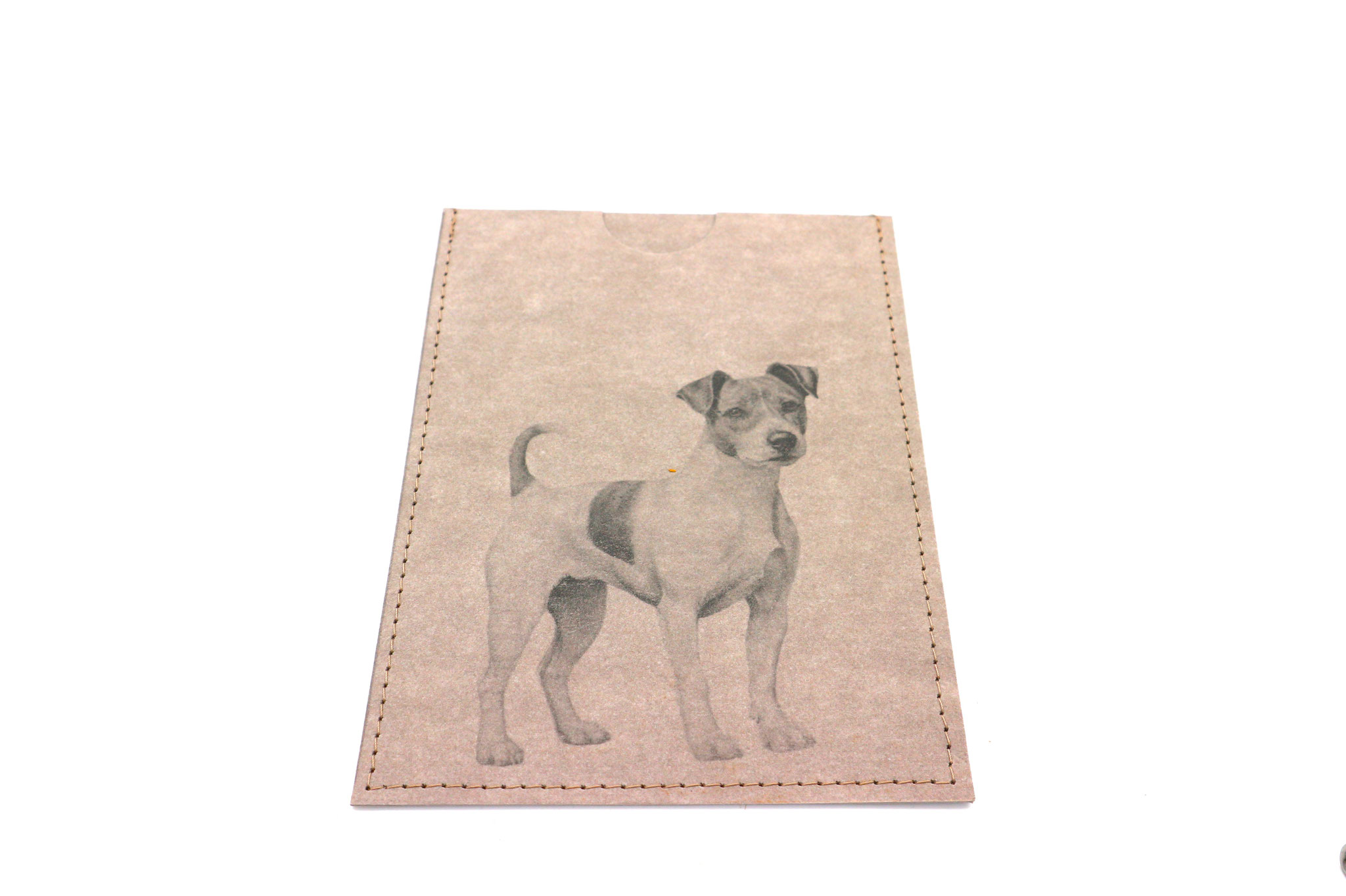 Jack Russell Terrier