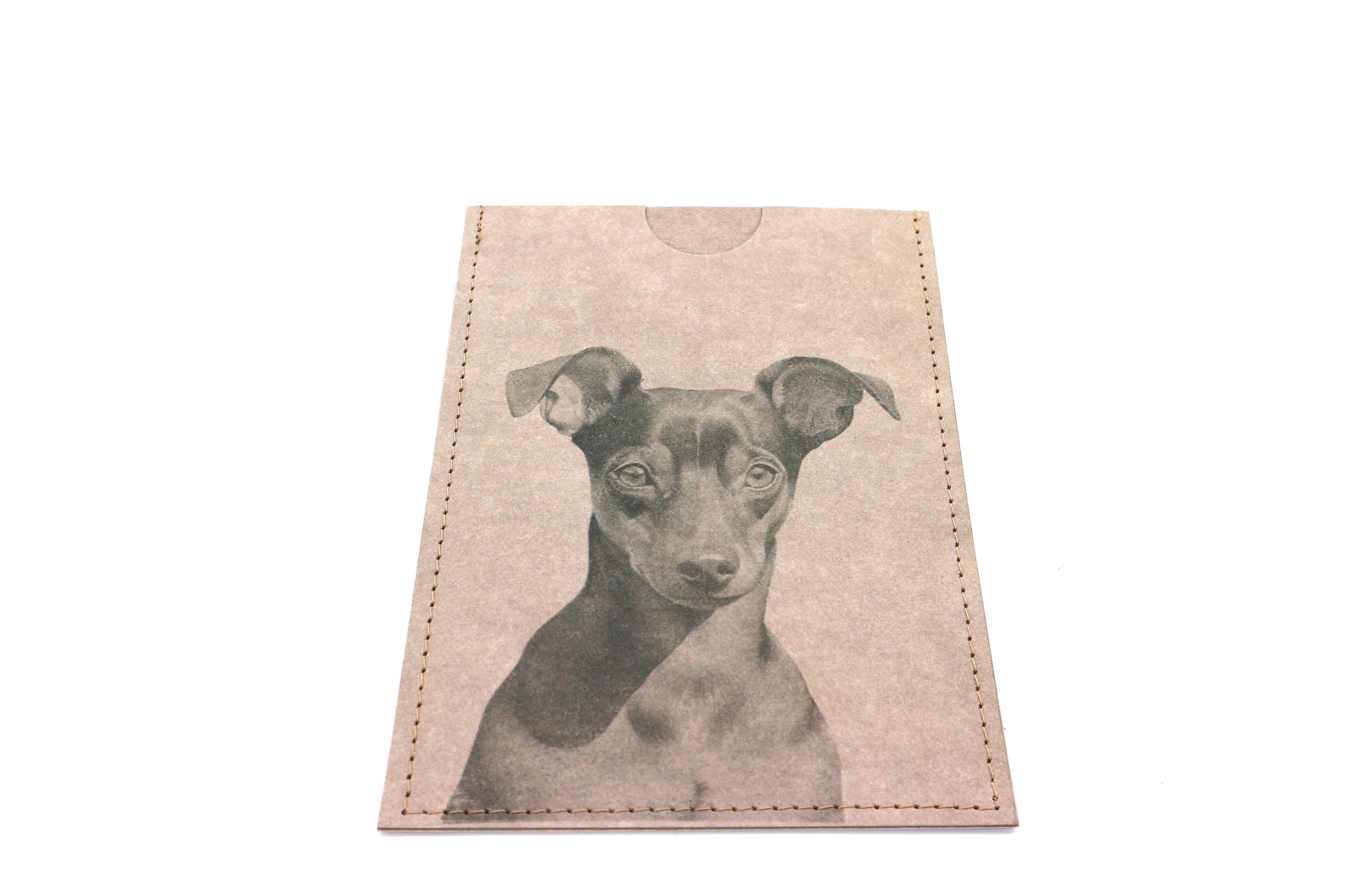 dt.Pinscher/Rattler