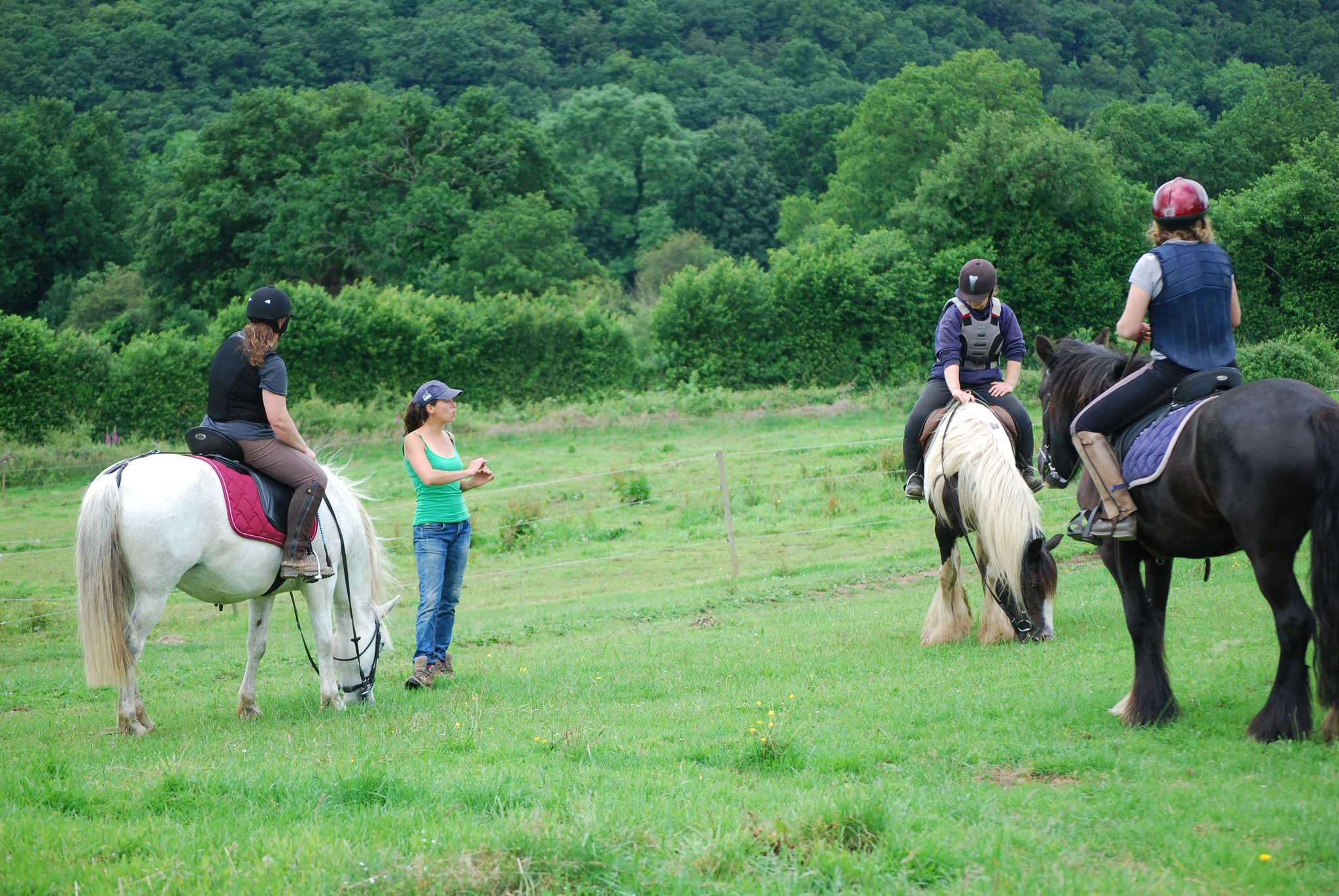 Cours collectifs sur le PTV