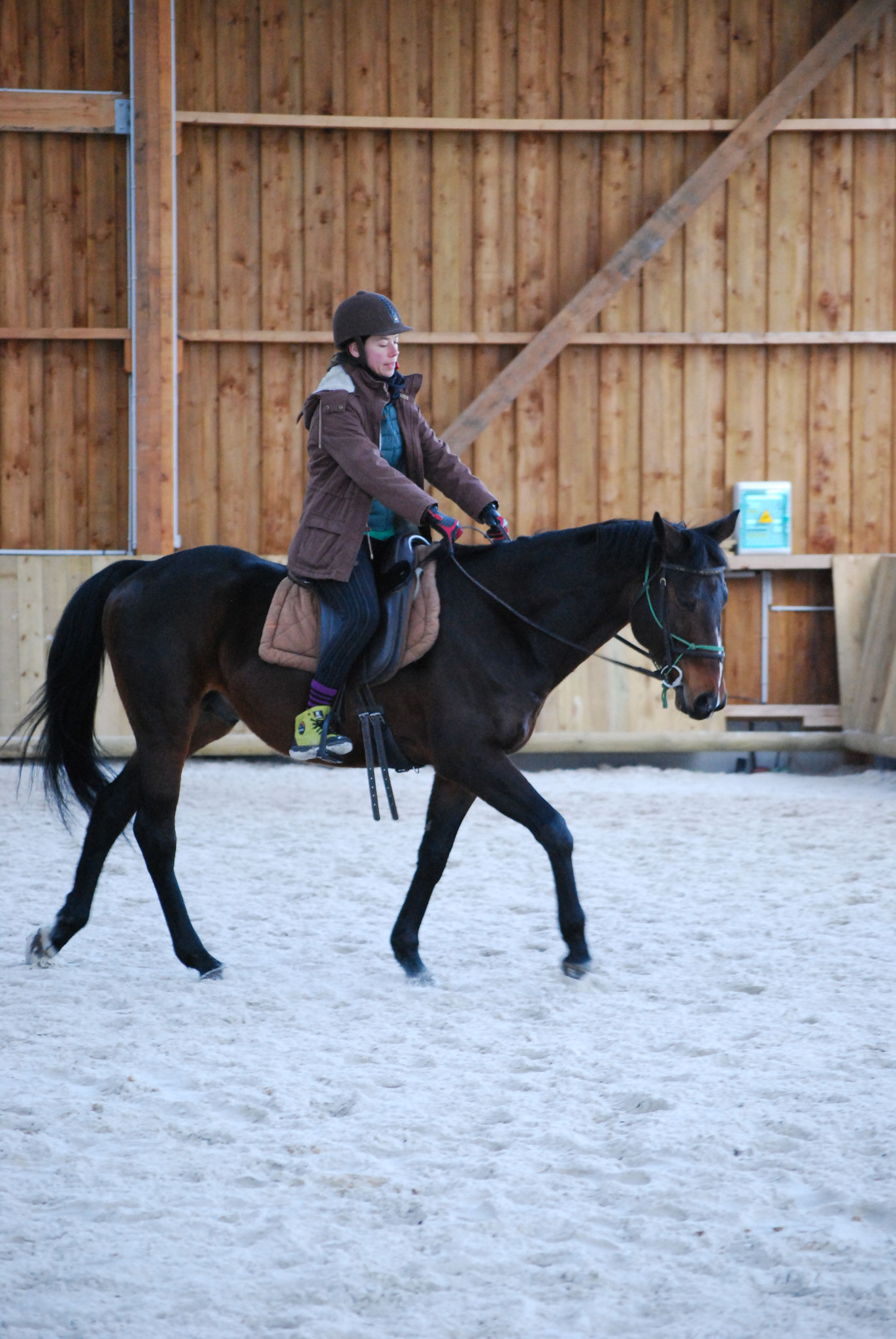 Travail monté, Sweet, entier de 12 ans 