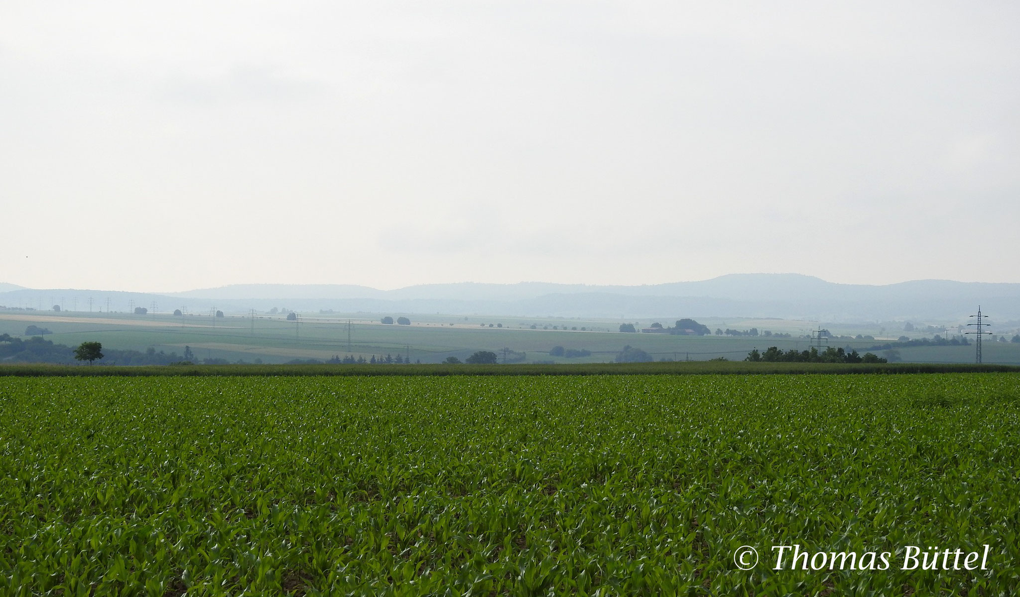 landscape near Willanzheim