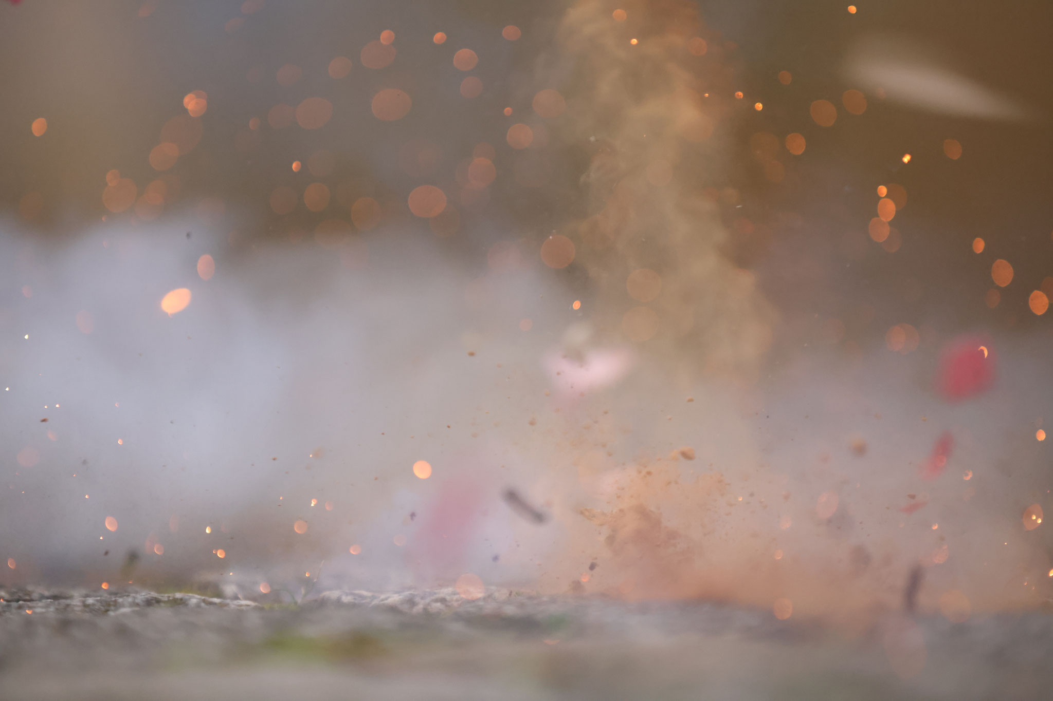 Foto: NABU/Jan Piecha