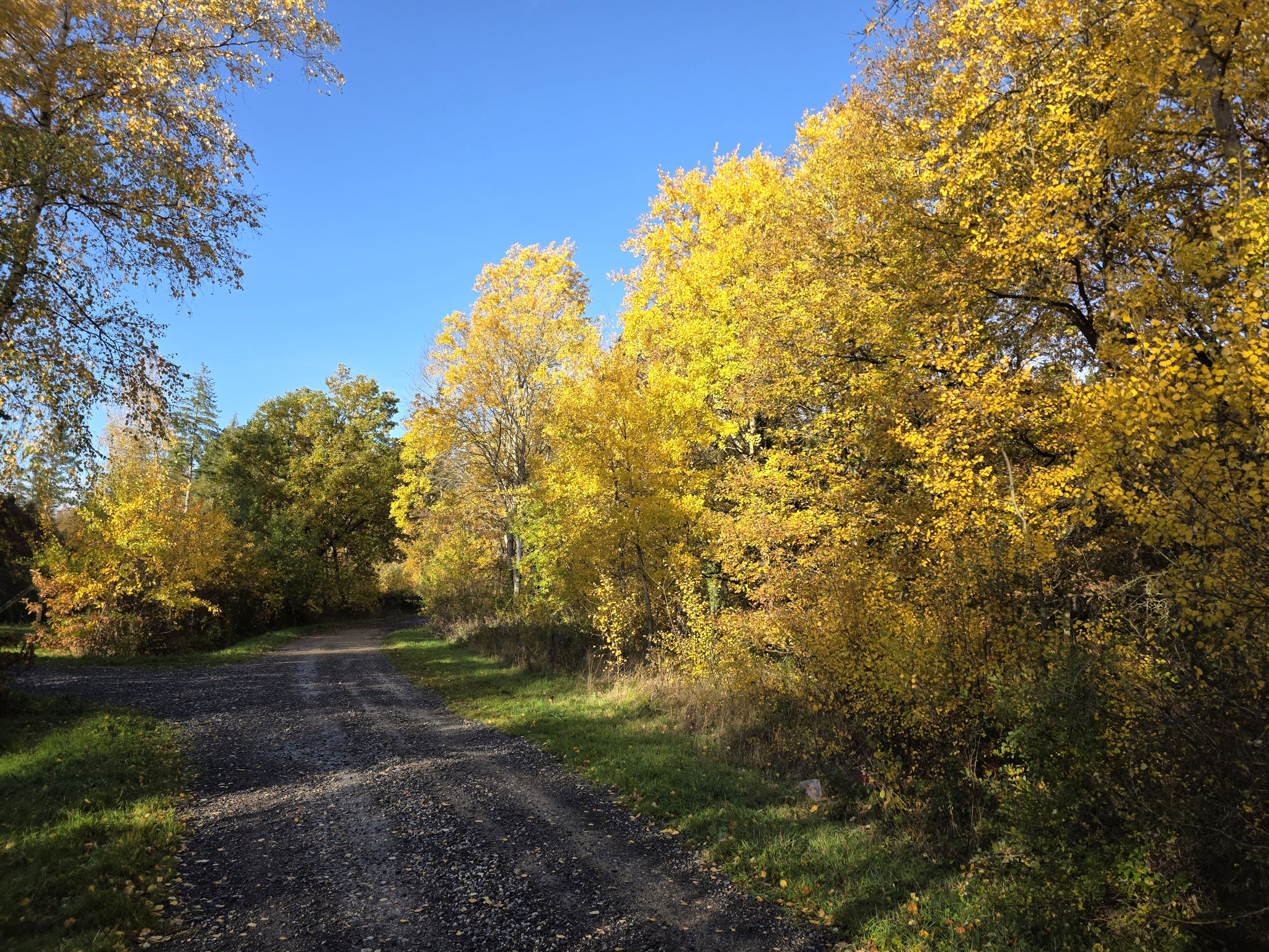 November: Foto: Peter Berthold / NABU Euskirchen