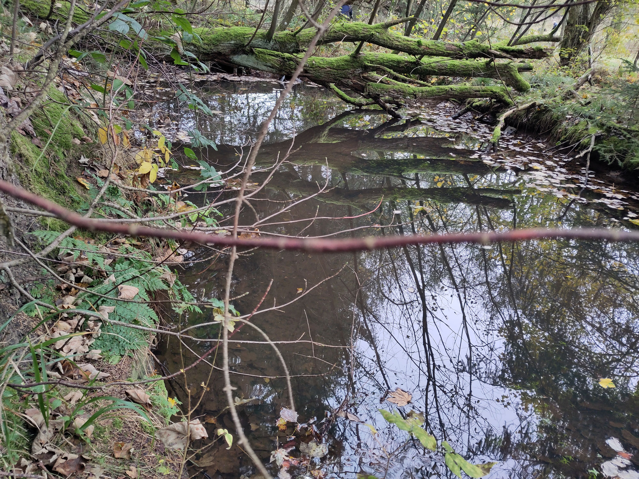 Gewässerschutz betreiben