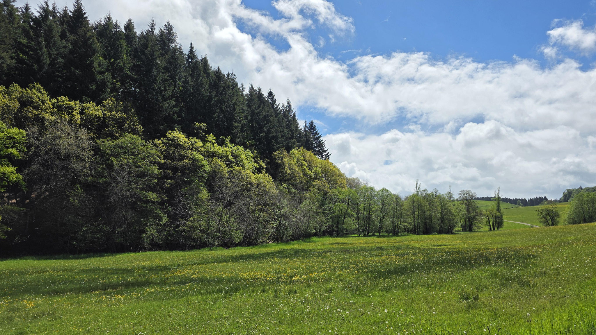 Kockesbach, Foto: Claudia Rapp-Lange / NABU Euskirchen