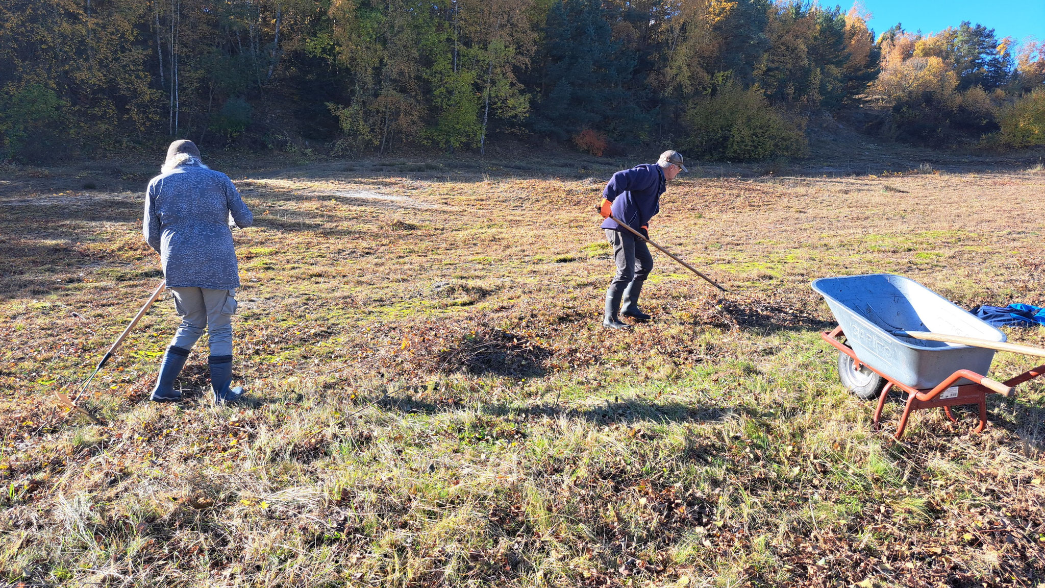 Schutzgebiete pflegen