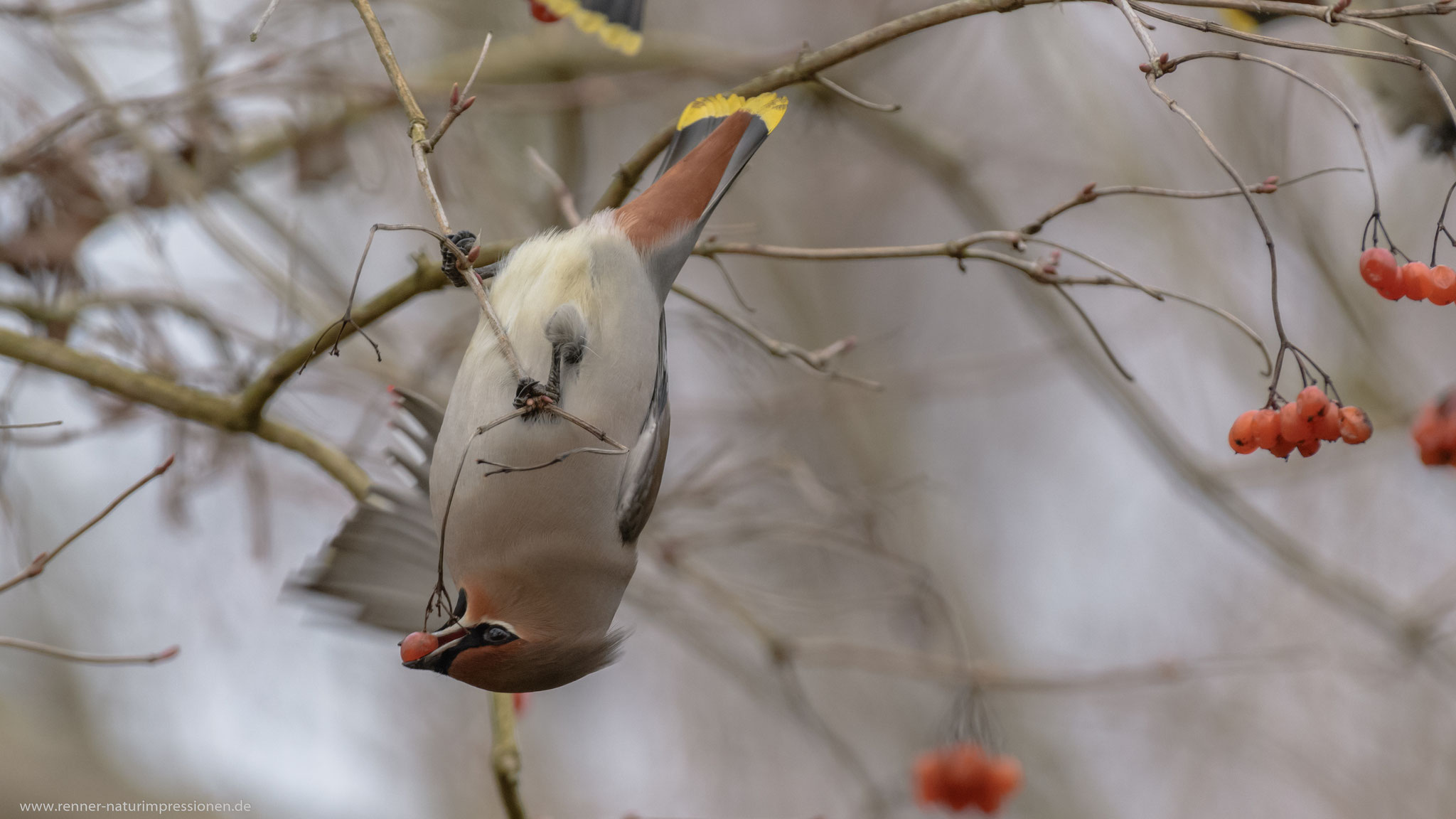 Land Brandenburg, Dezember 2019 