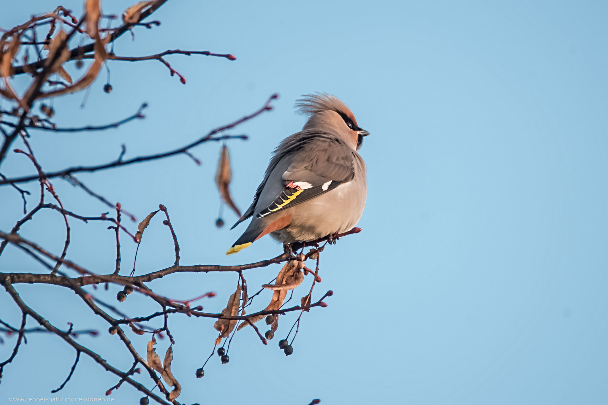 Land Brandenburg November 2016