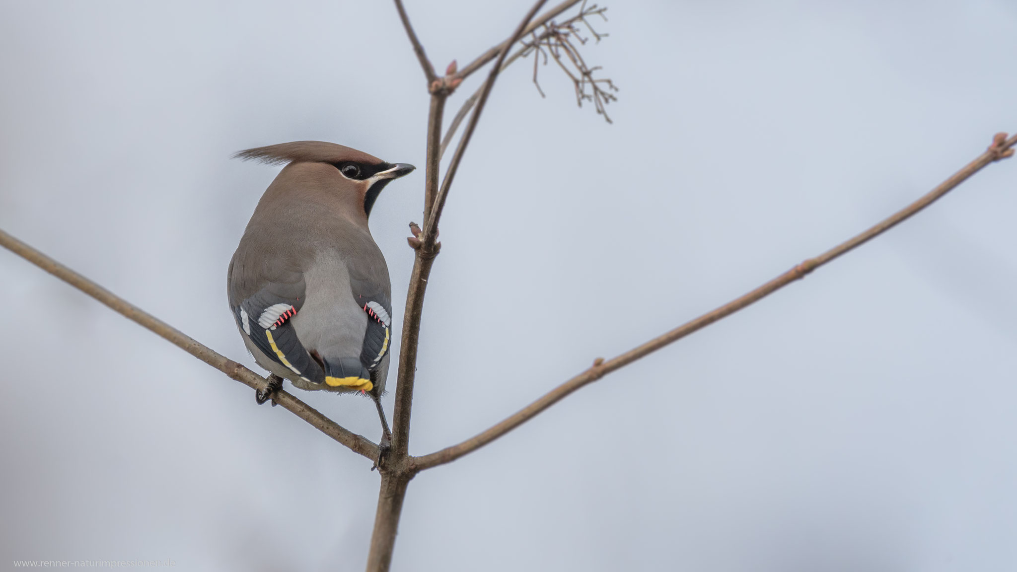 Land Brandenburg, Dezember 2019 