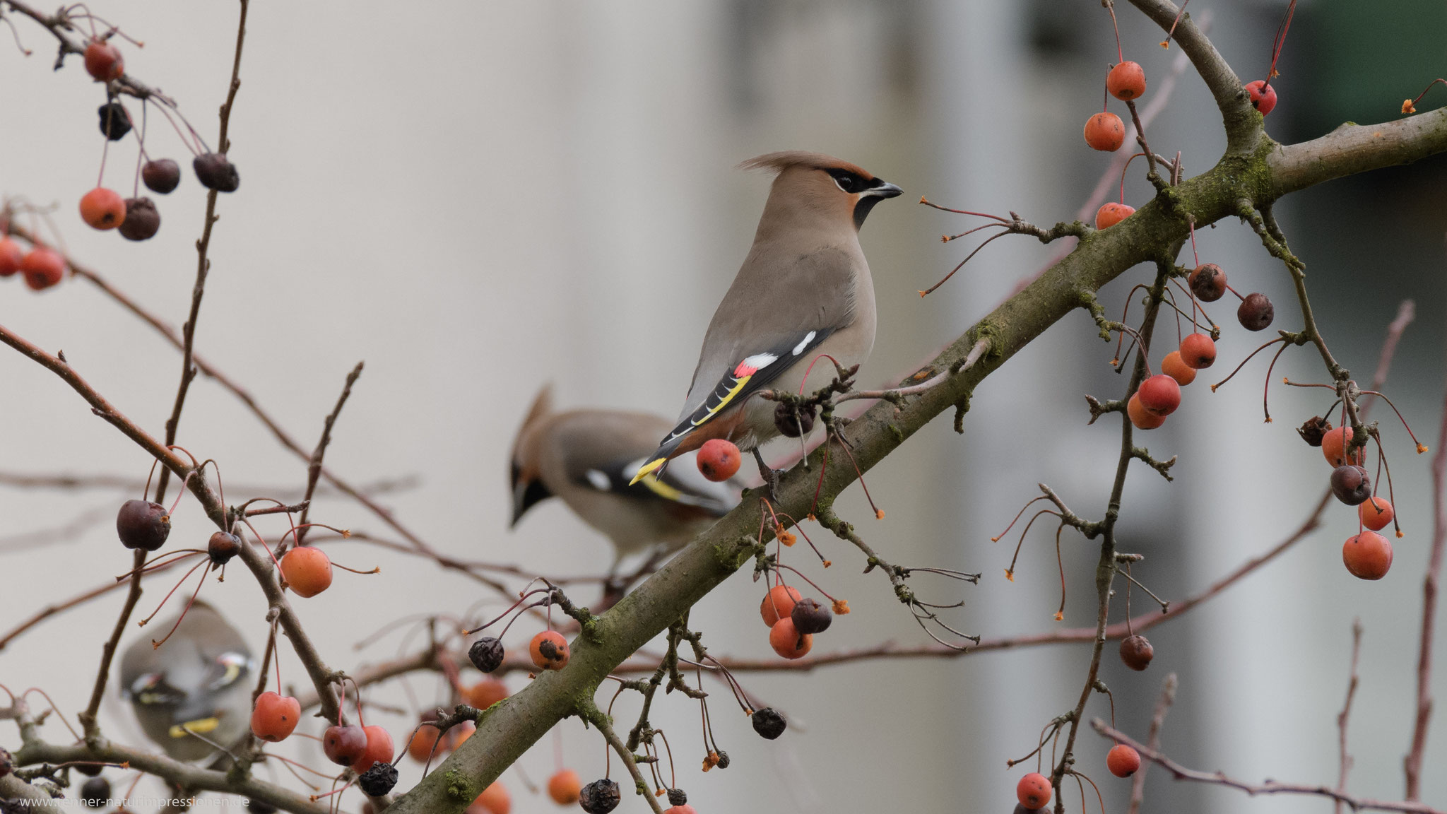 Berlin Januar 2018