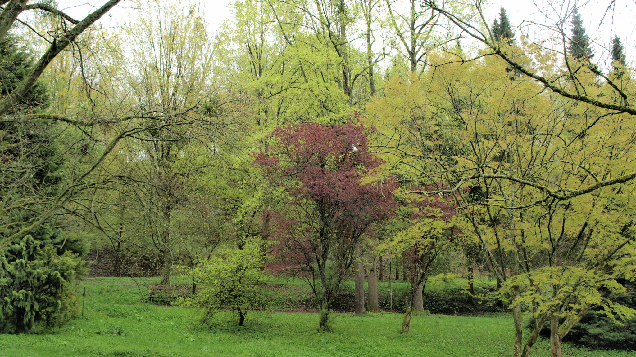 Arboretum