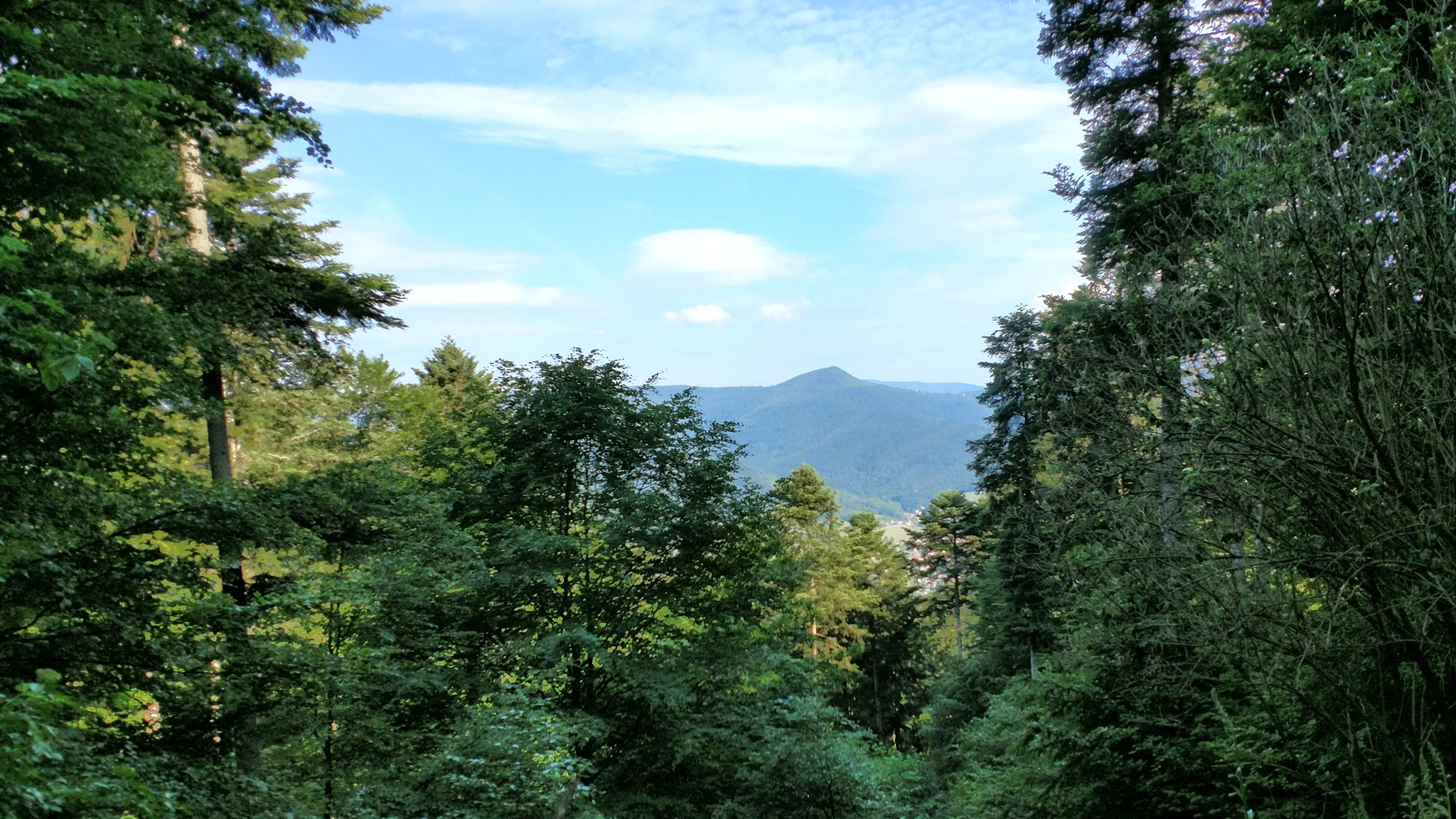 Vue sur le Hohnack