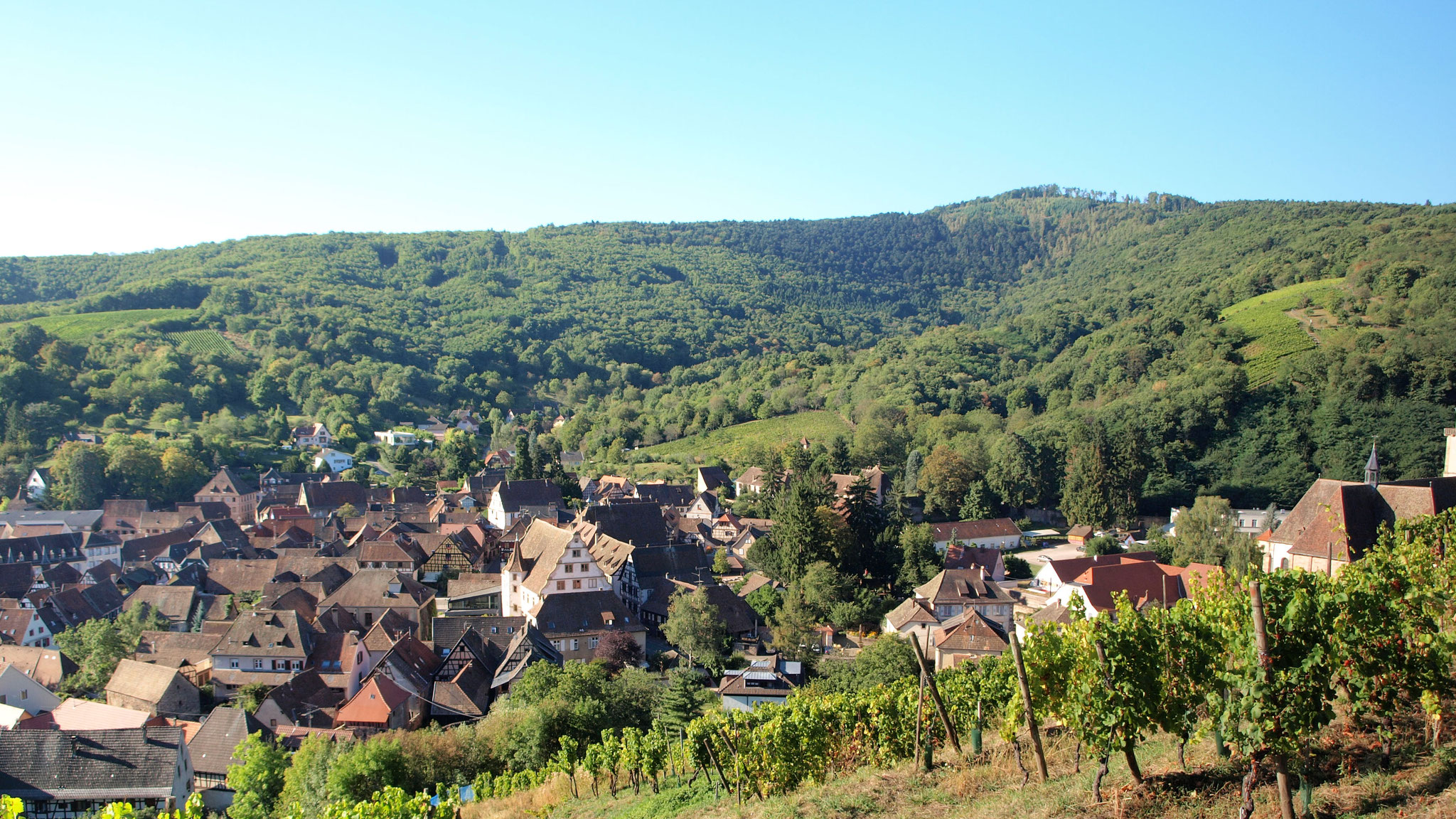 Andlau