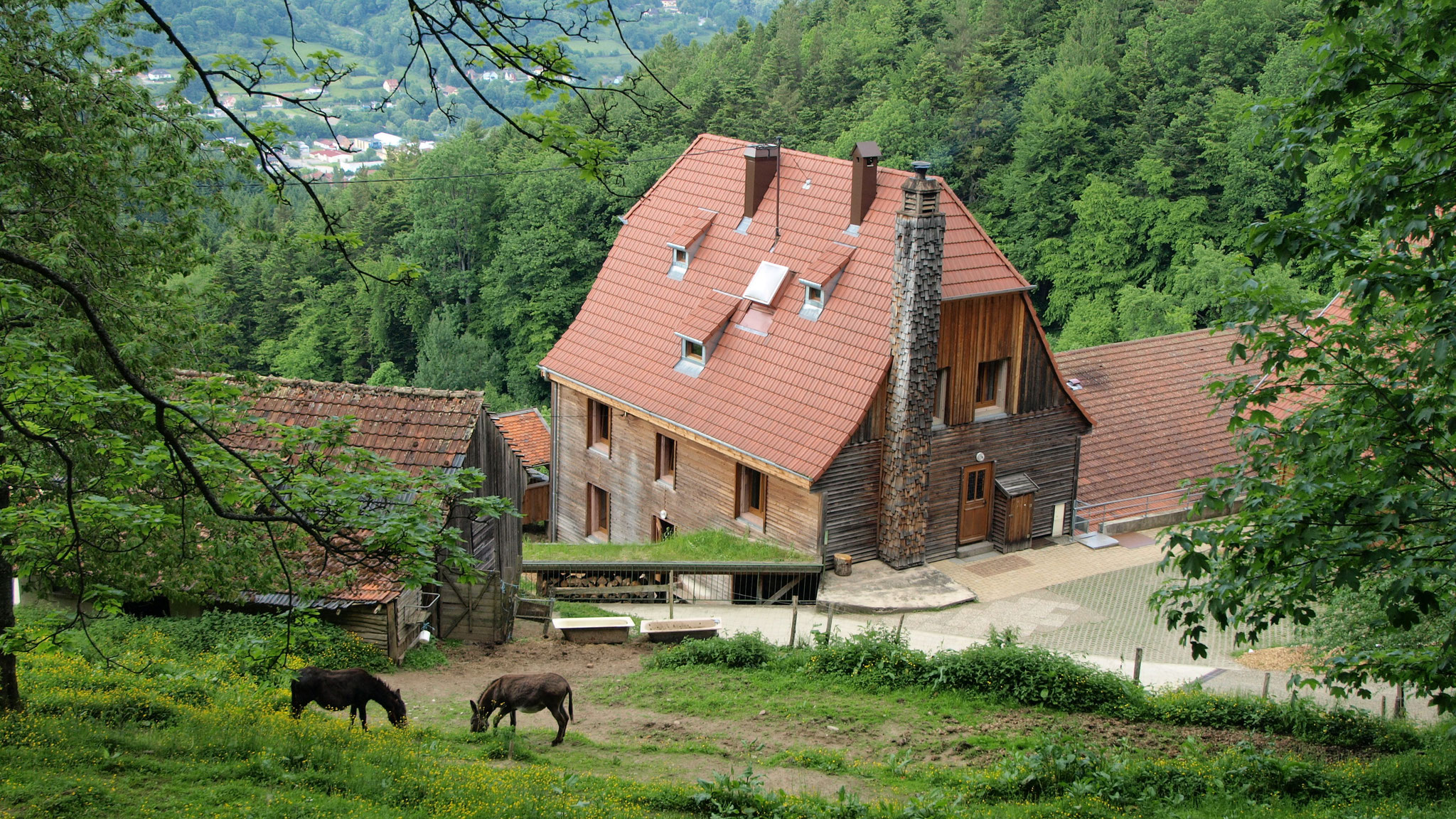 Gîte de la Chouette