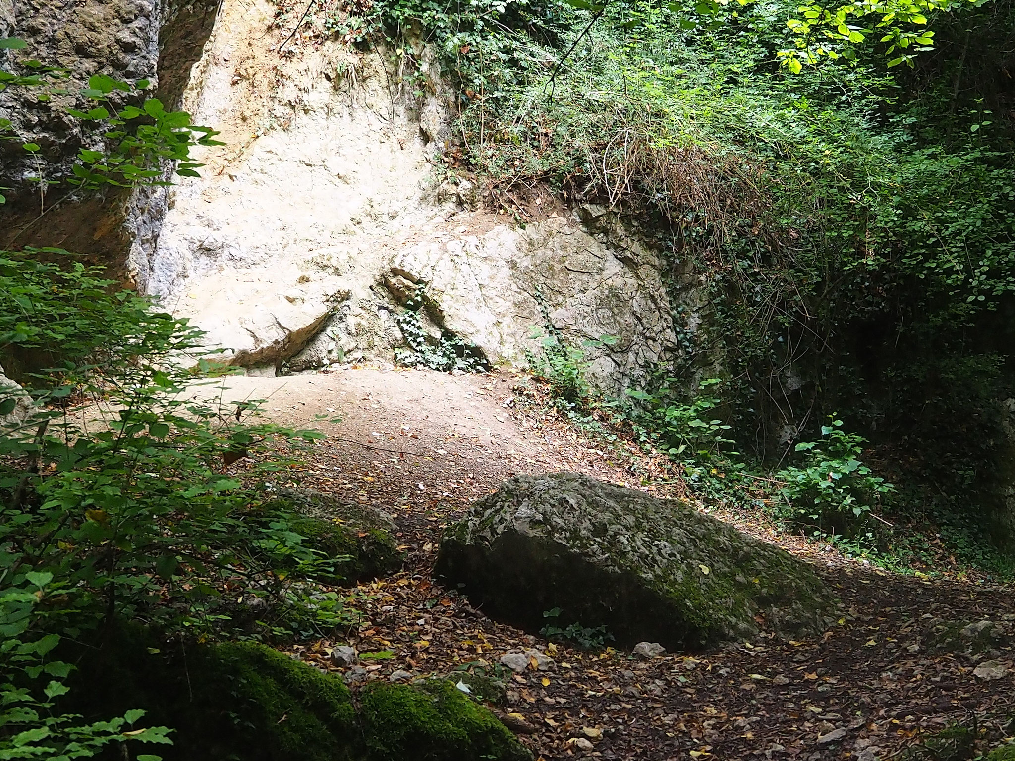 Wolfenloch