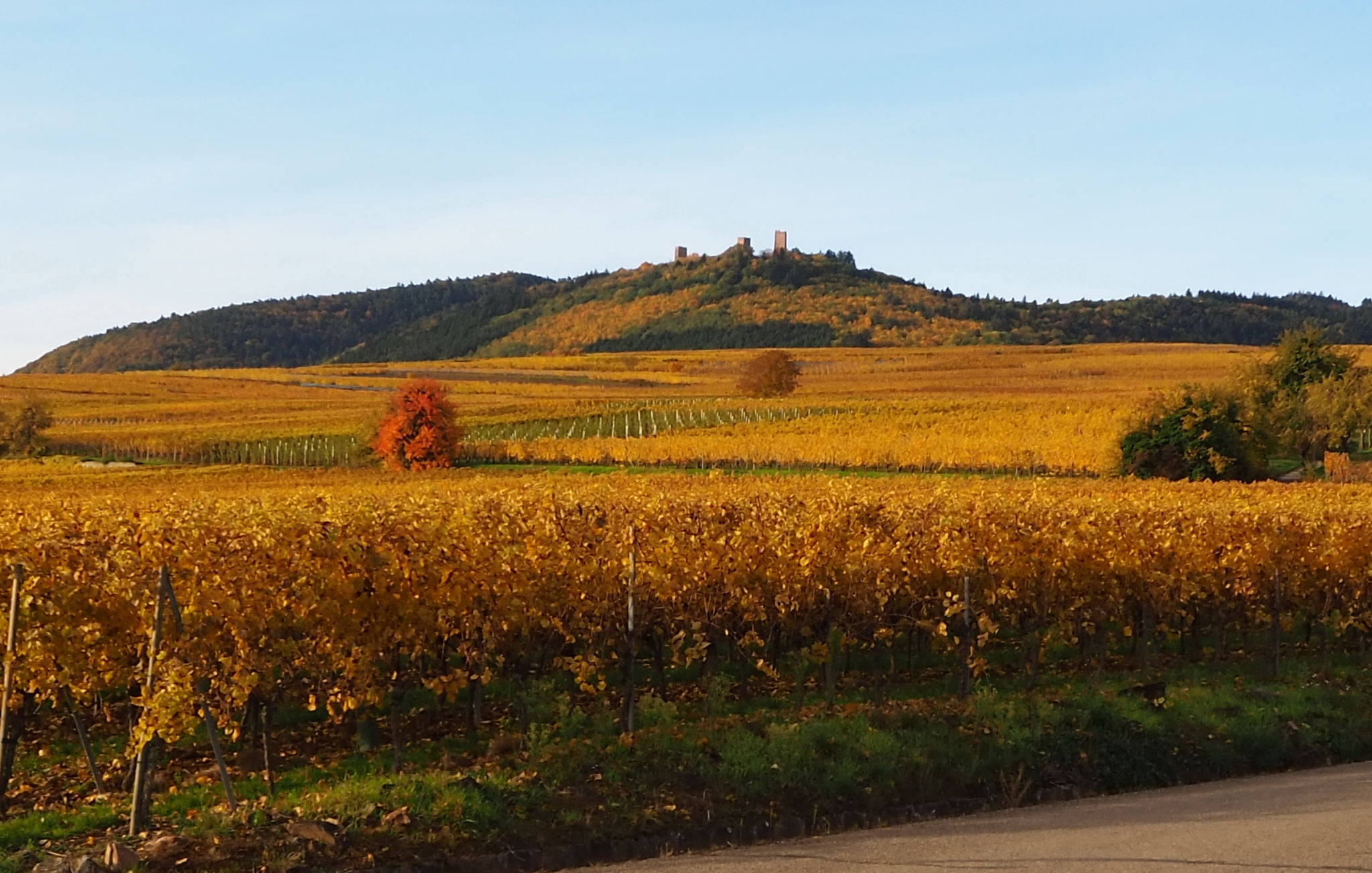 Trois Châteaux