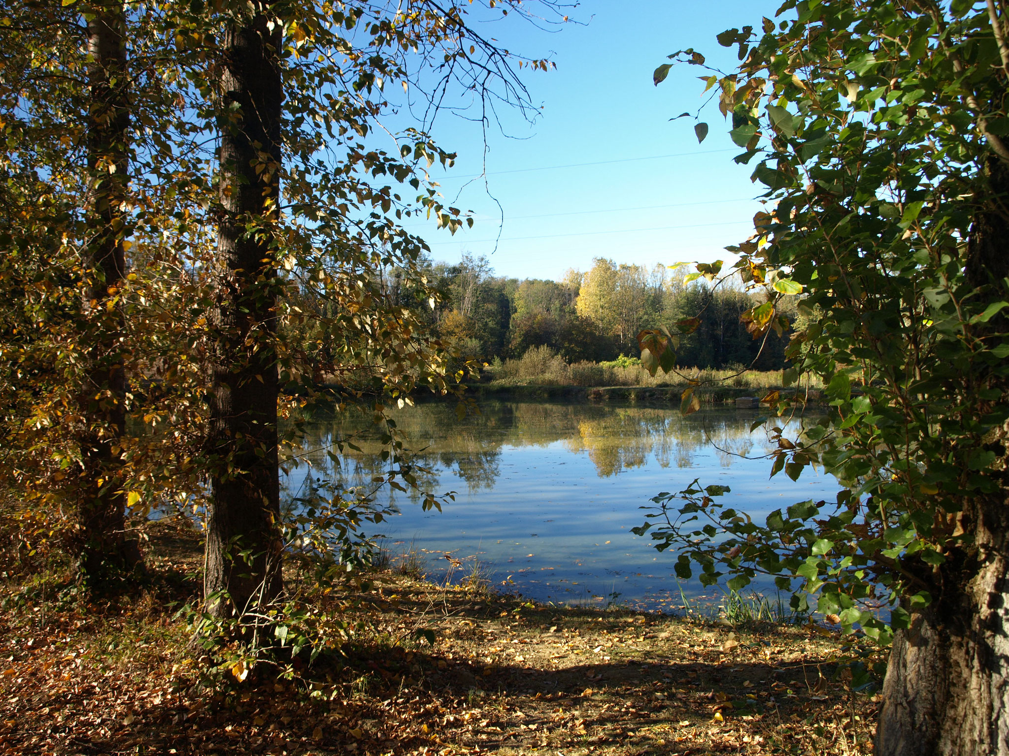 Neuweiher