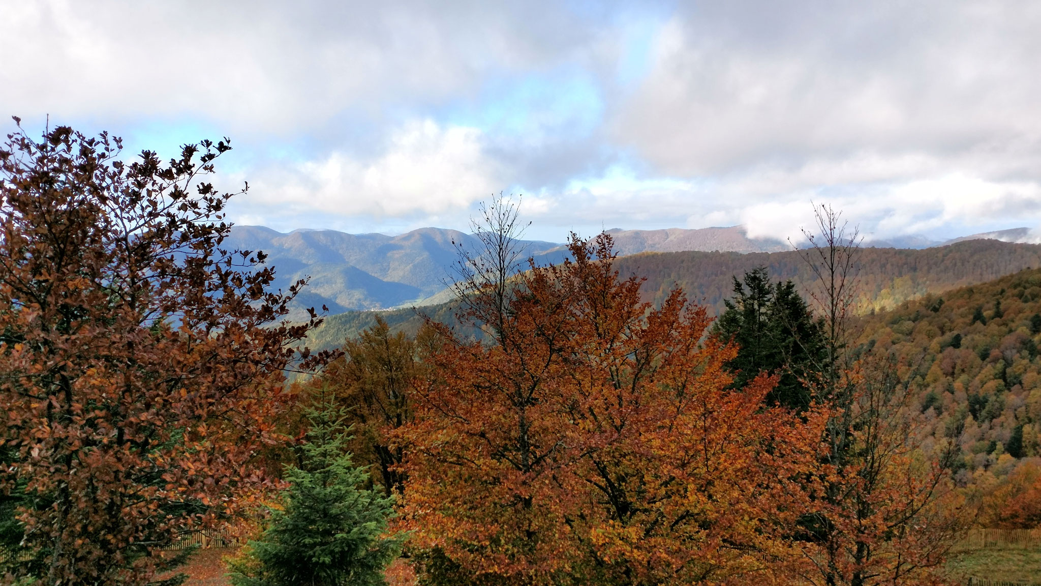 Départ au Markstein