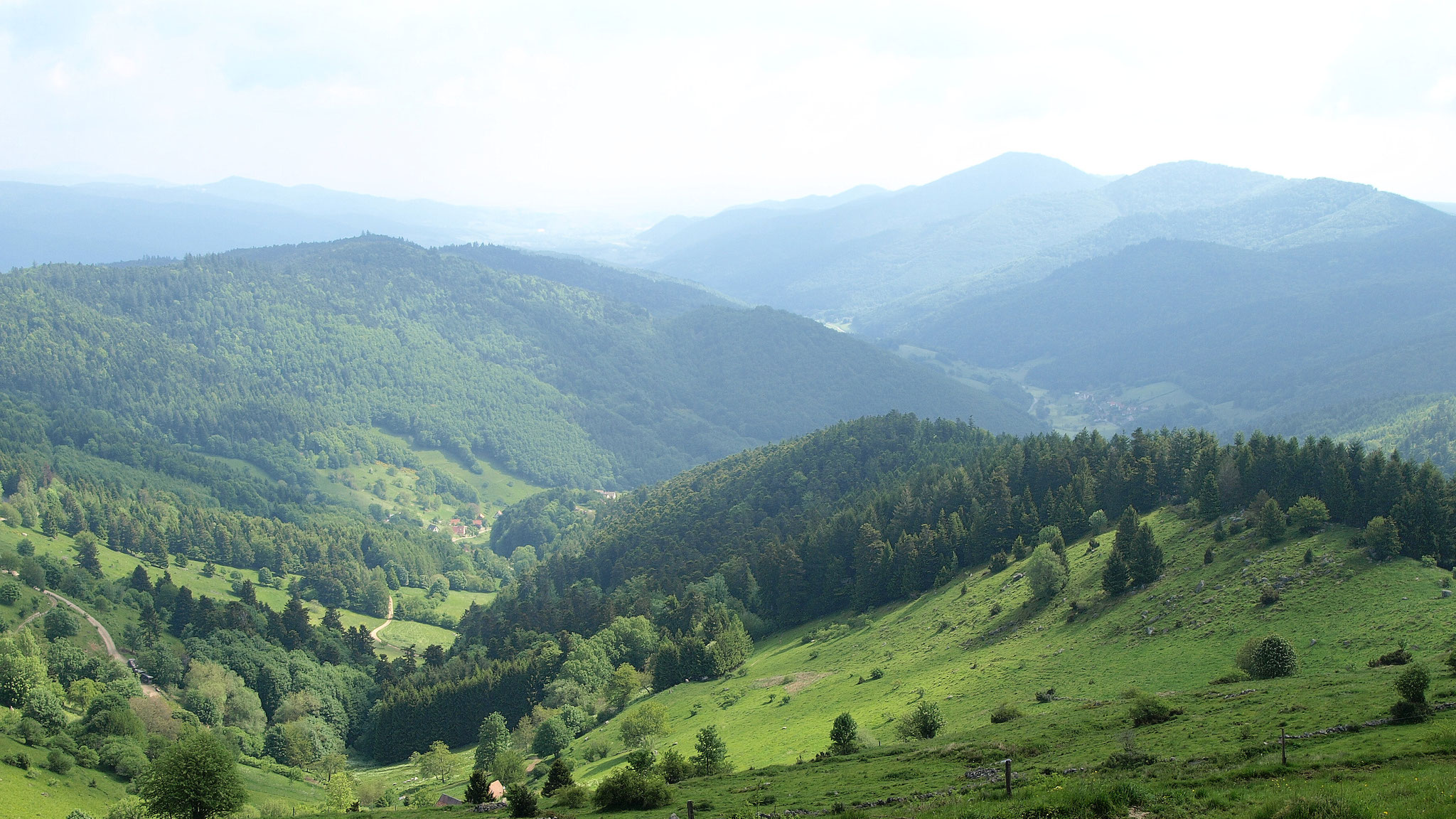 Vallon de Wasserbourg