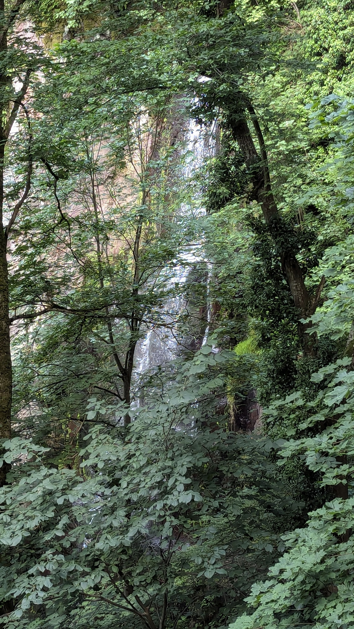 Cascade