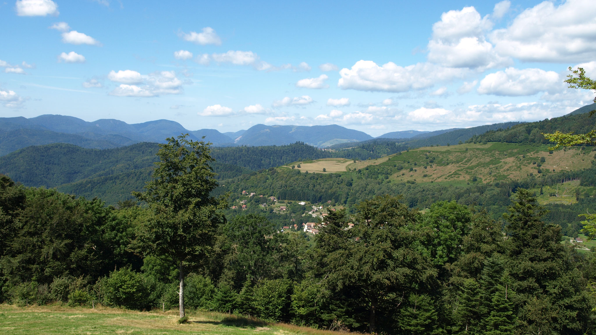 Goldbach et la vallée de thann